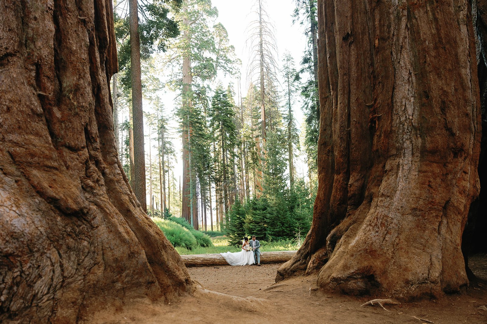 first-look-before-lost-grove-elopement-ceremony-11.jpg