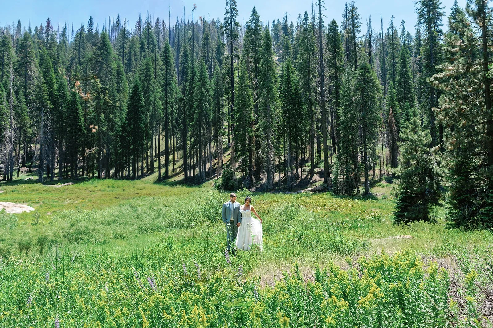 sequoia-national-park-elopement-photos-10.jpg
