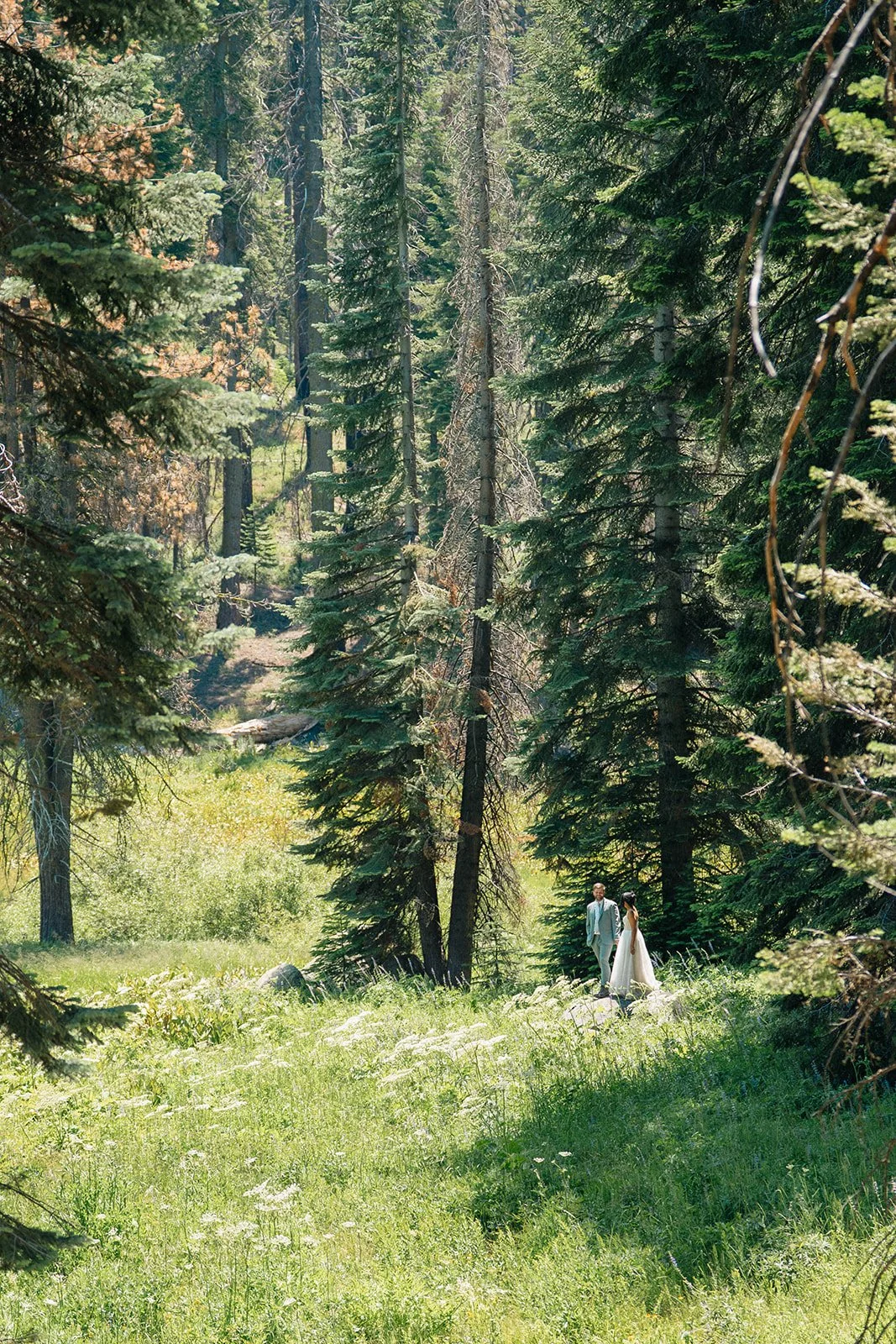 sequoia-national-park-elopement-photos-2.jpg