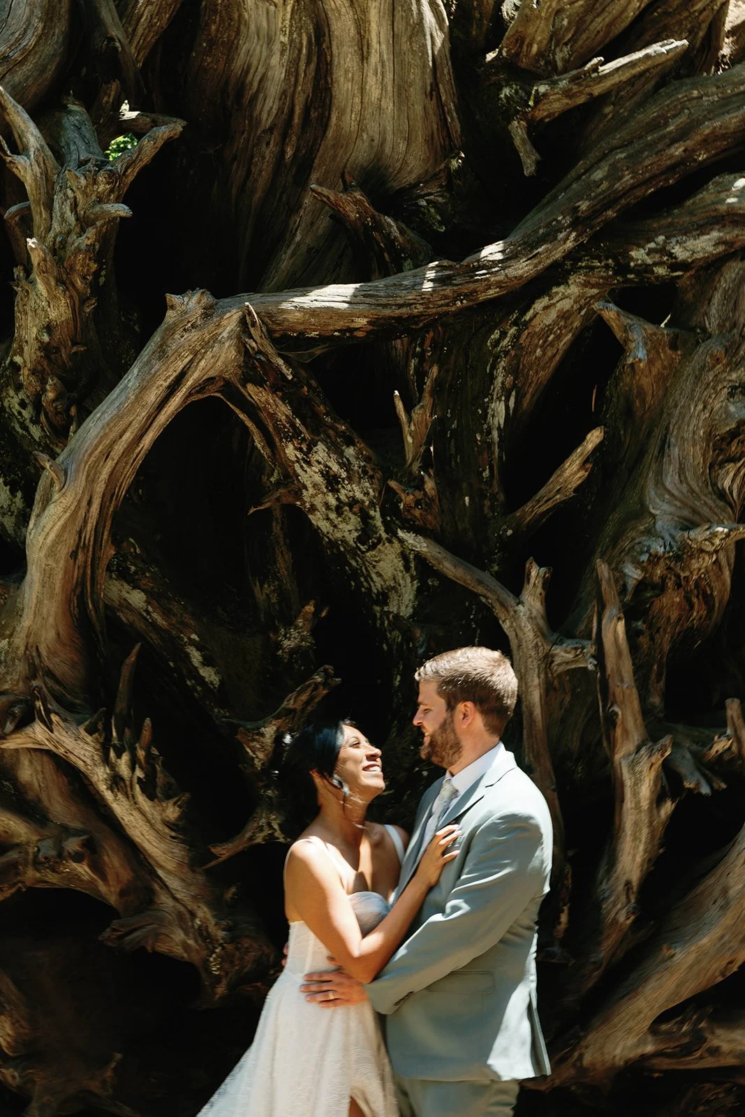 full-day-sequoia-adventure-elopement-1.jpg