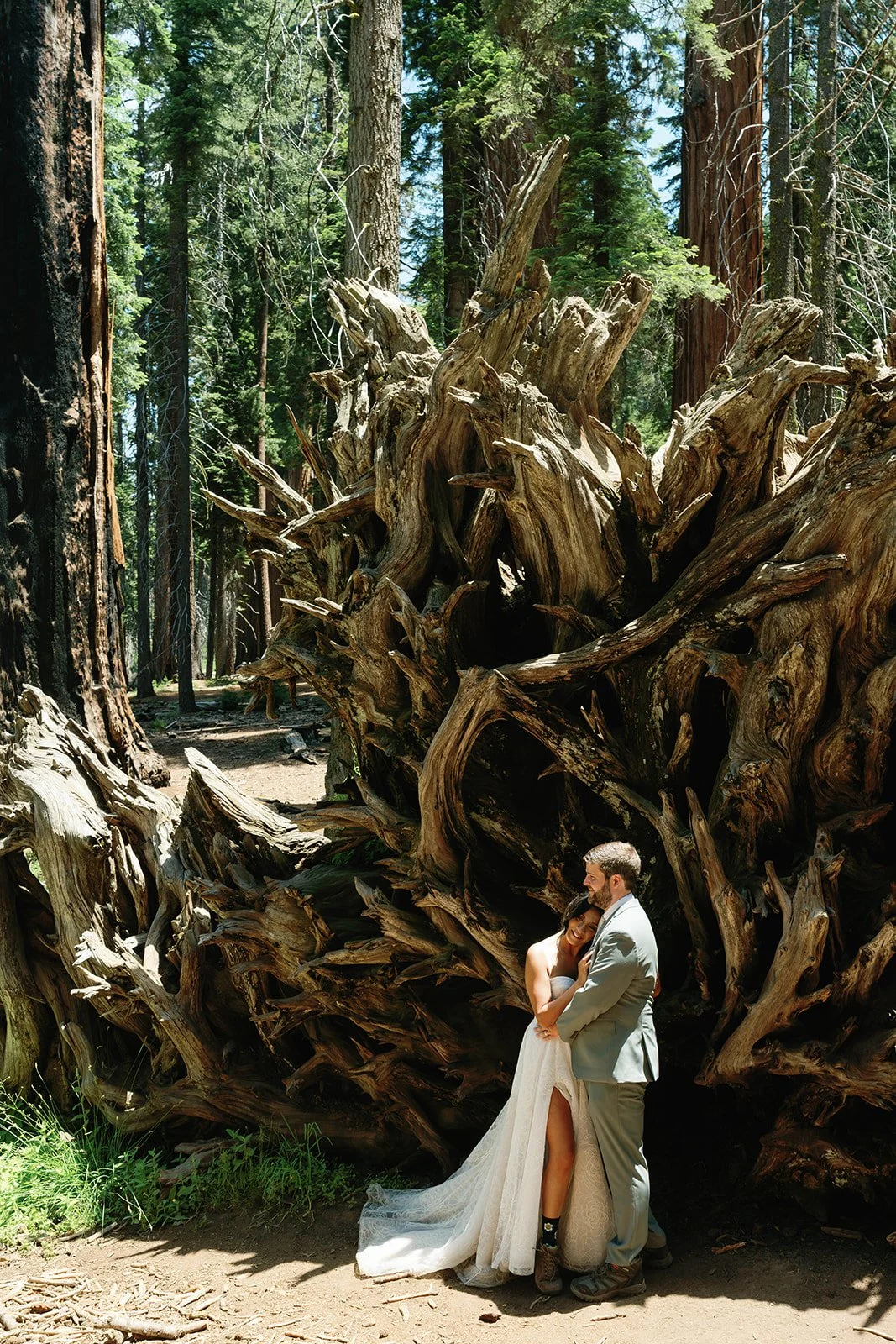 full-day-sequoia-adventure-elopement-2.jpg