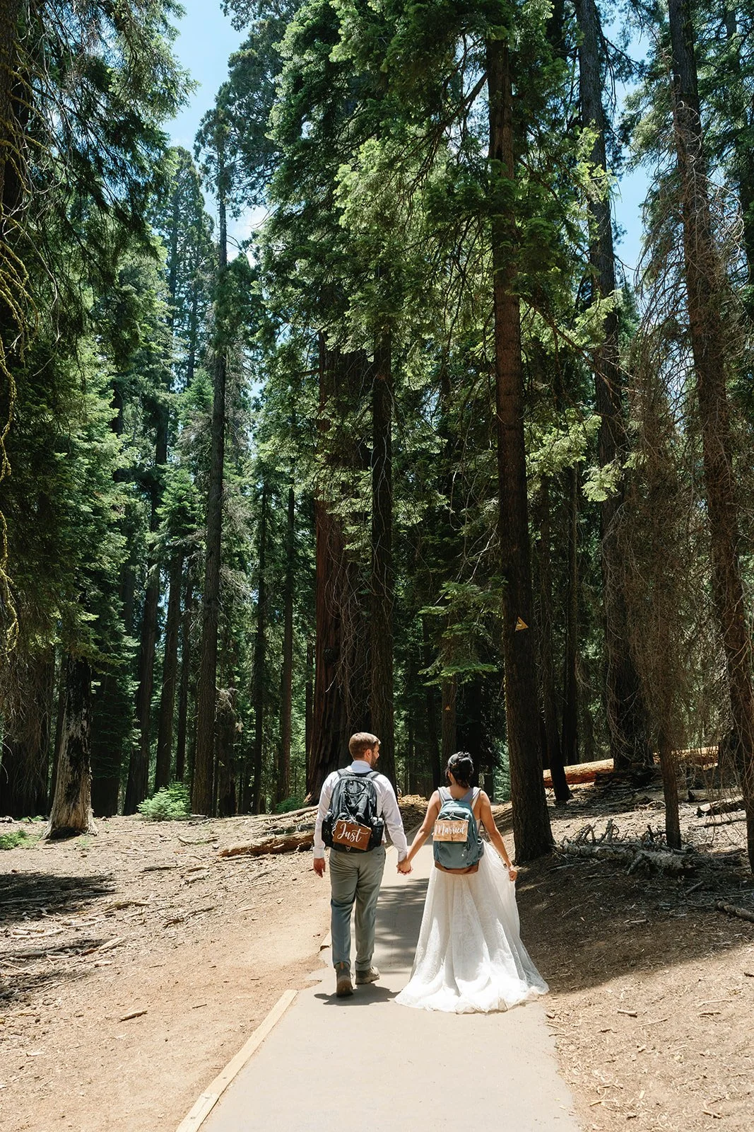 full-day-sequoia-adventure-elopement-3.jpg