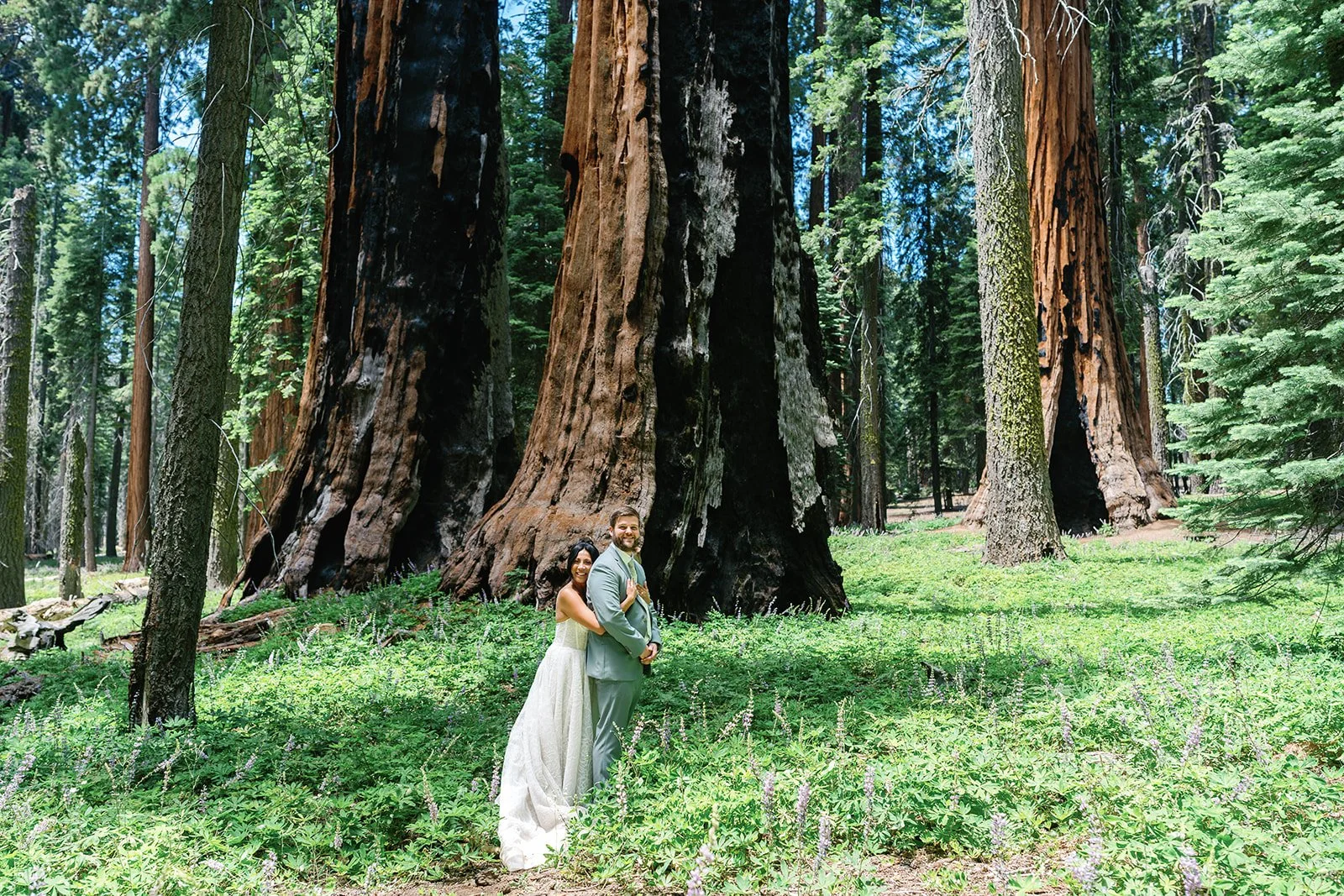 full-day-sequoia-adventure-elopement-5.jpg