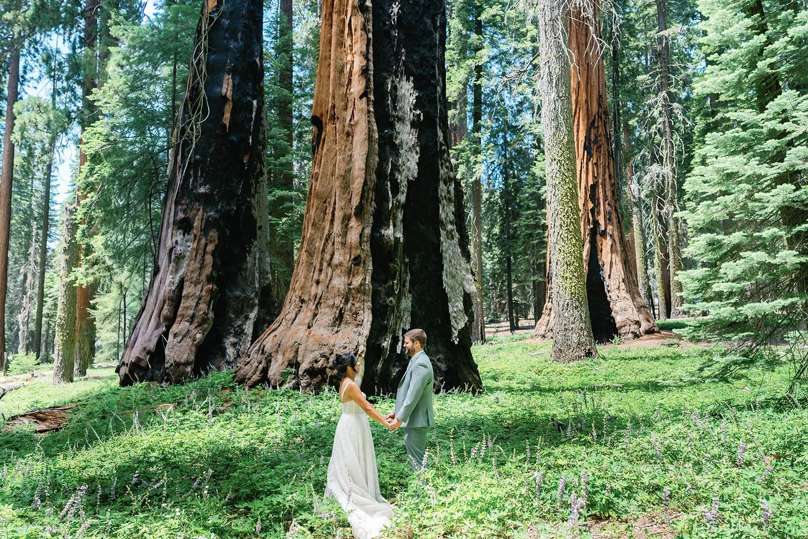 full-day-sequoia-adventure-elopement-4.jpg