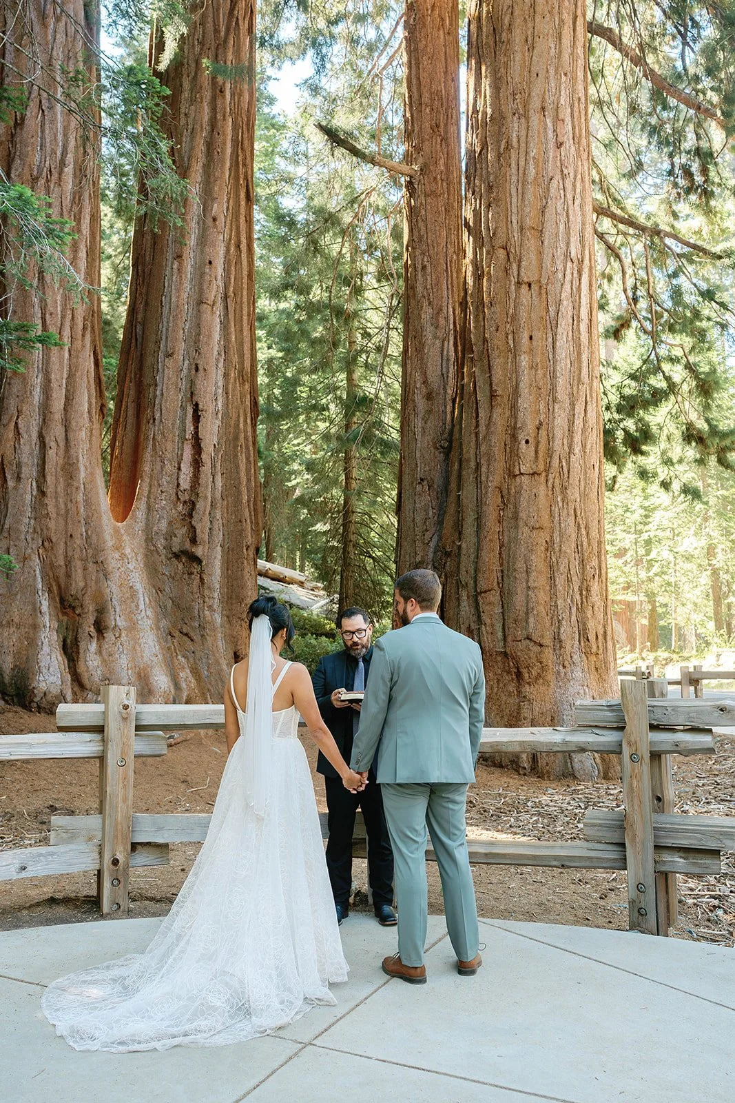 sequoia-elopement-2.jpg