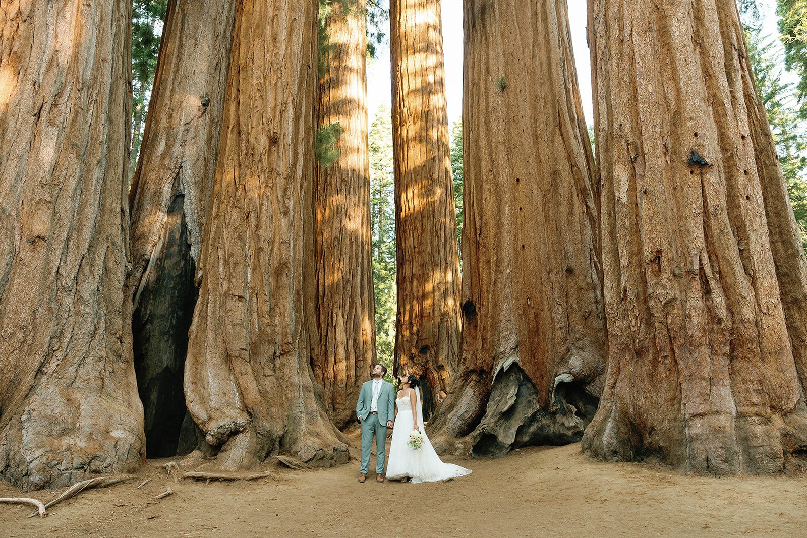 Couple at their elopement hike in Sequoia