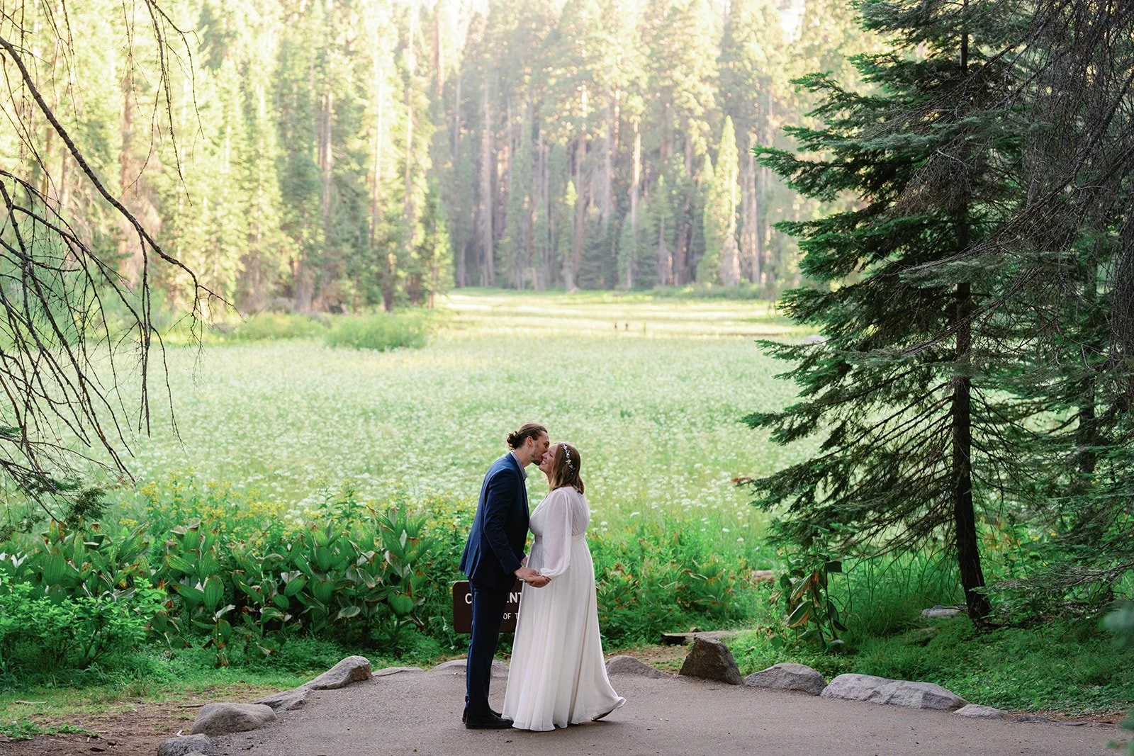 intimate-elopements-in-sequoia-27.jpg