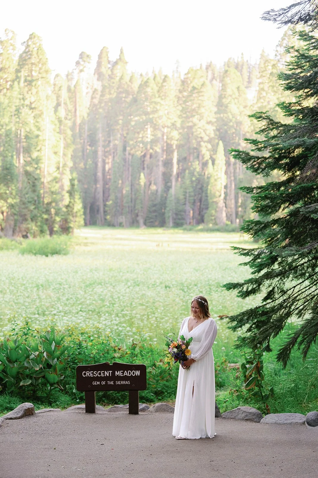 intimate-elopements-in-sequoia-28.jpg