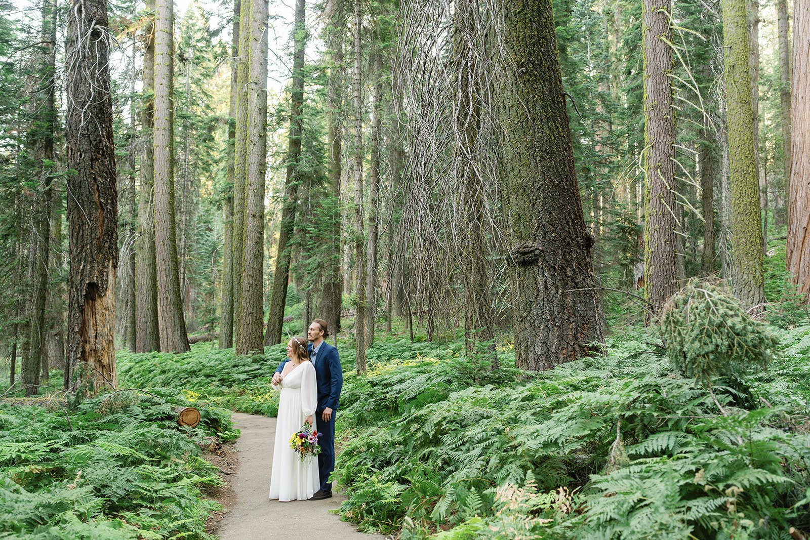 intimate-elopements-in-sequoia-3.jpg