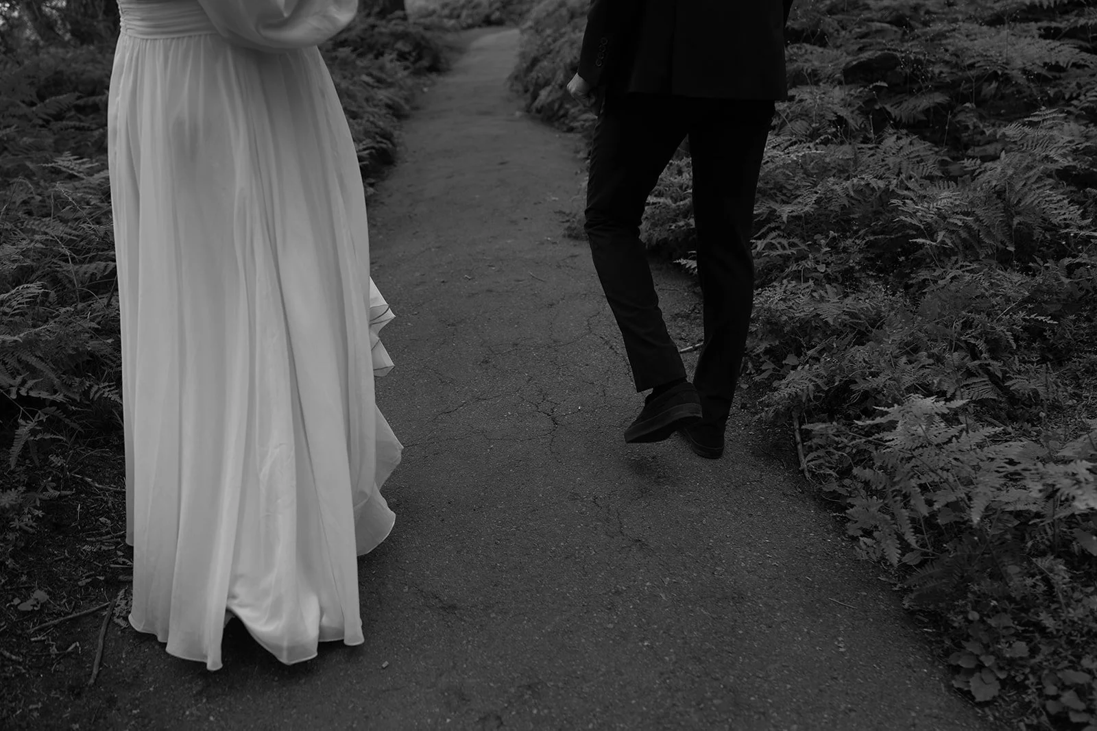 intimate-elopements-in-sequoia-7.jpg