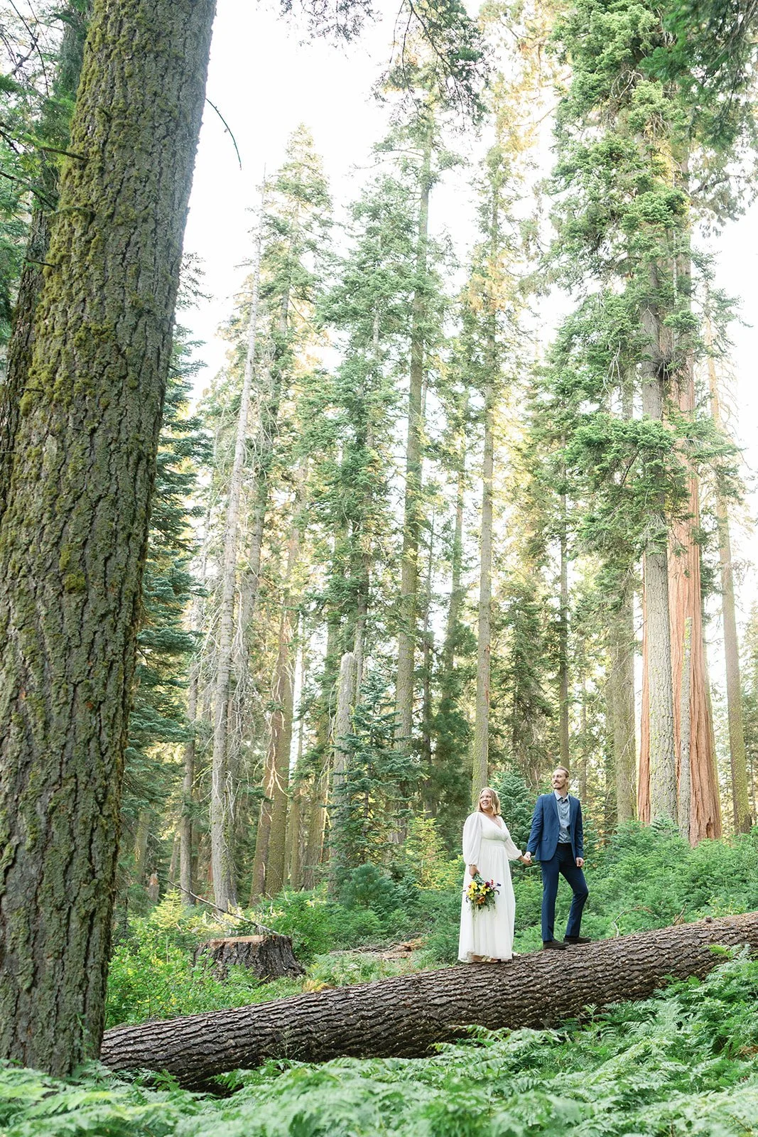 intimate-elopements-in-sequoia-8.jpg