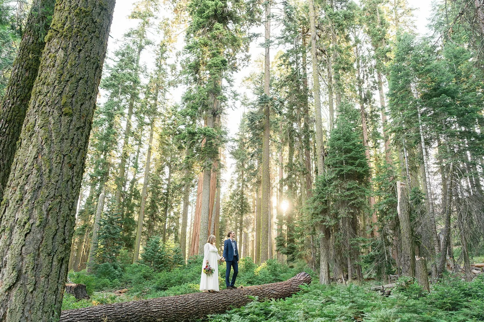 intimate-elopements-in-sequoia-10.jpg
