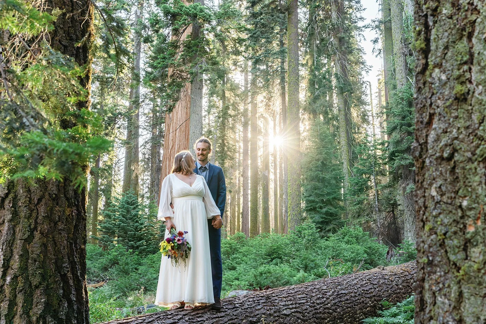 intimate-elopements-in-sequoia-11.jpg
