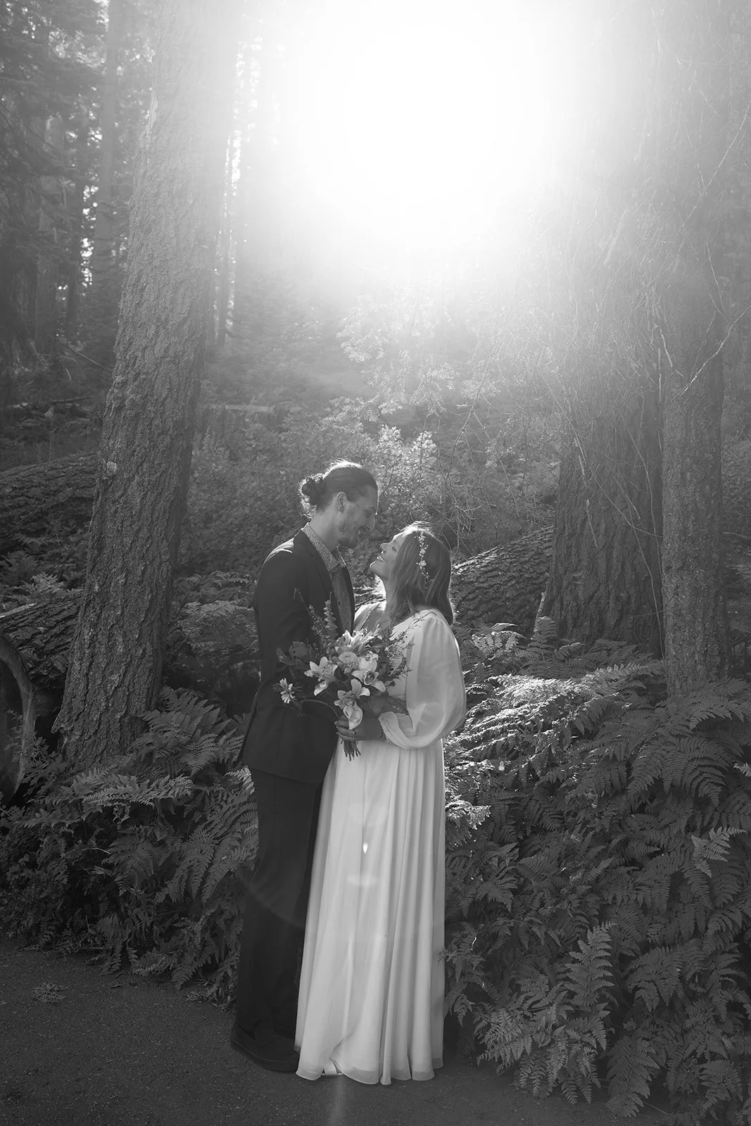 intimate-elopements-in-sequoia-12.jpg