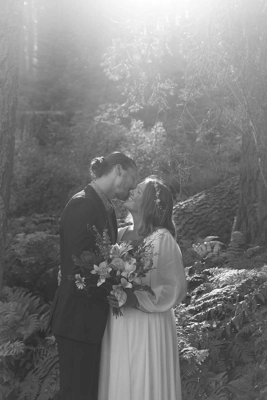 intimate-elopements-in-sequoia-13.jpg