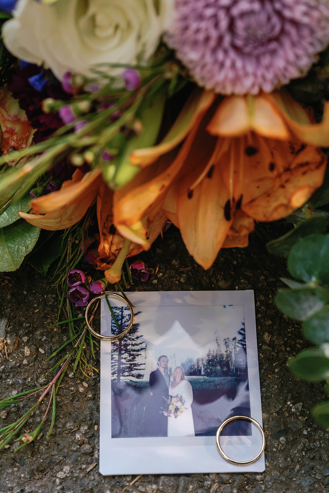 intimate-elopements-in-sequoia-15.jpg