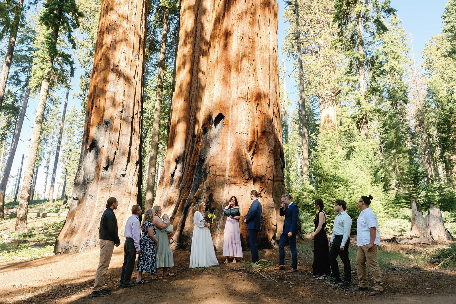 Ceremony at the intimate elopement in Seqouia