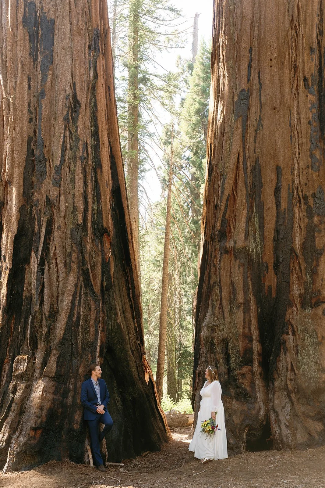 intimate-elopements-in-sequoia-18.jpg