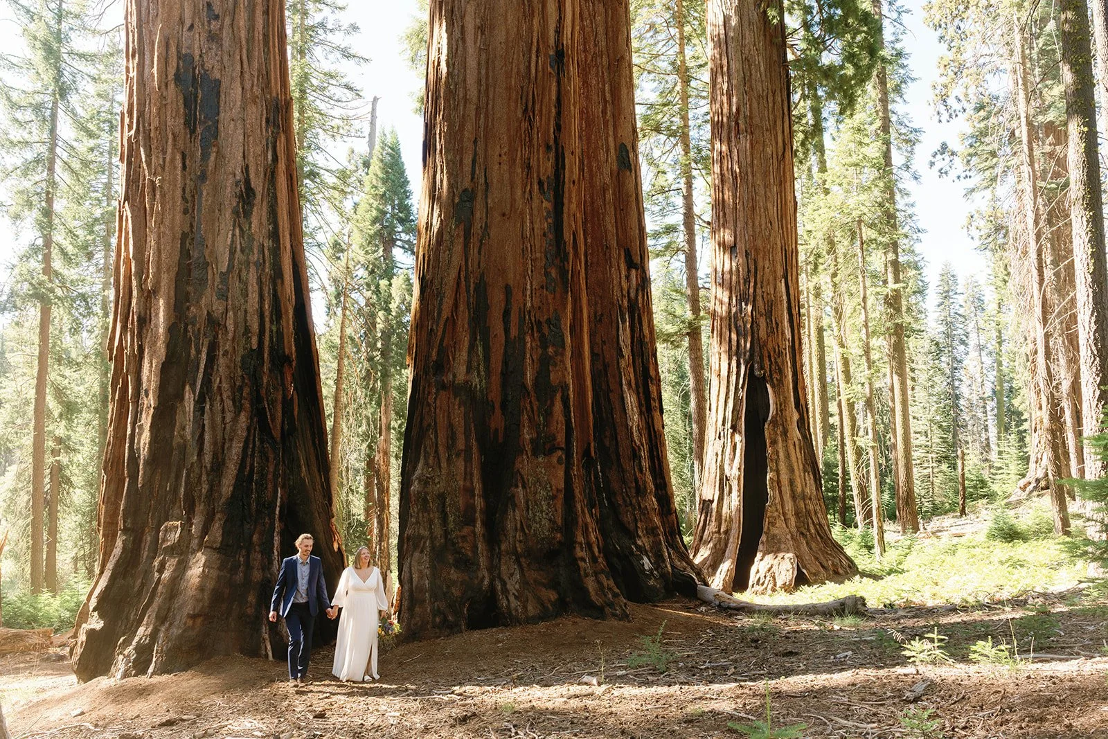 intimate-elopements-in-sequoia-20.jpg