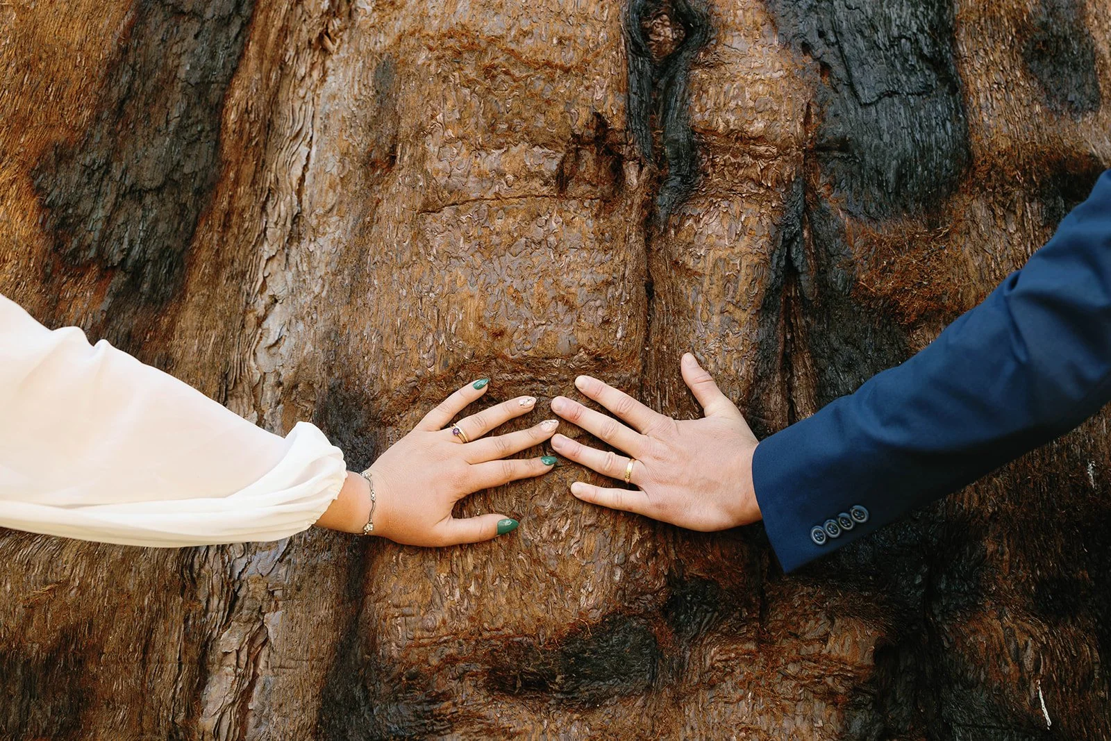 intimate-elopements-in-sequoia-22.jpg