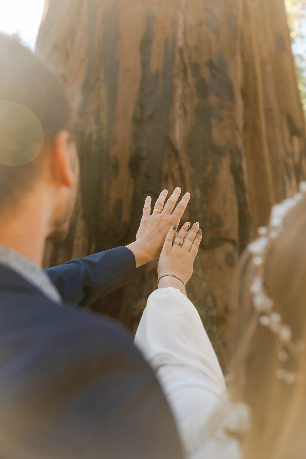 intimate-elopements-in-sequoia-23.jpg