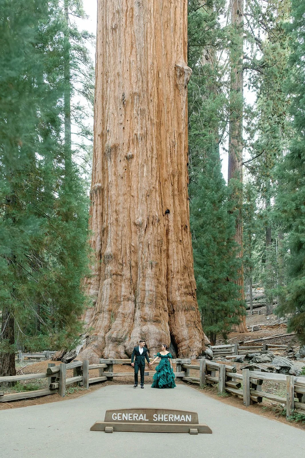 vow-renewal-in-sequoia-1.jpg
