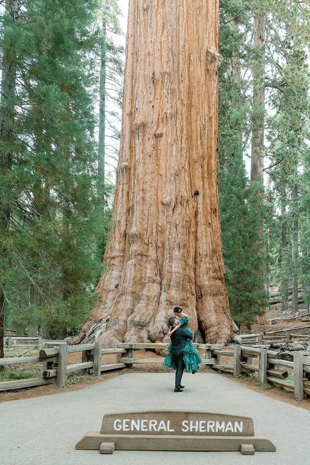 vow-renewal-in-sequoia-3.jpg