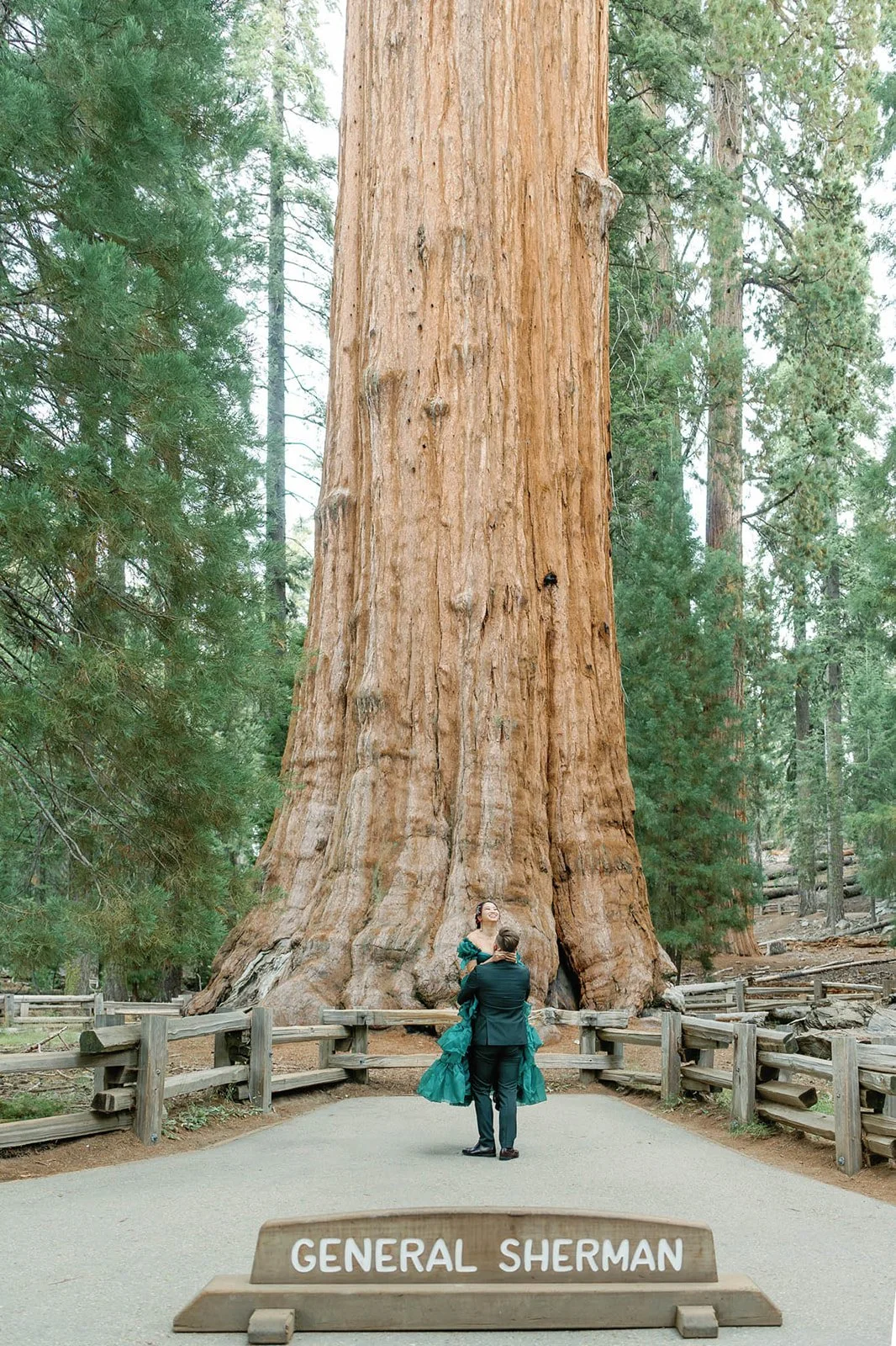 vow-renewal-in-sequoia-4.jpg