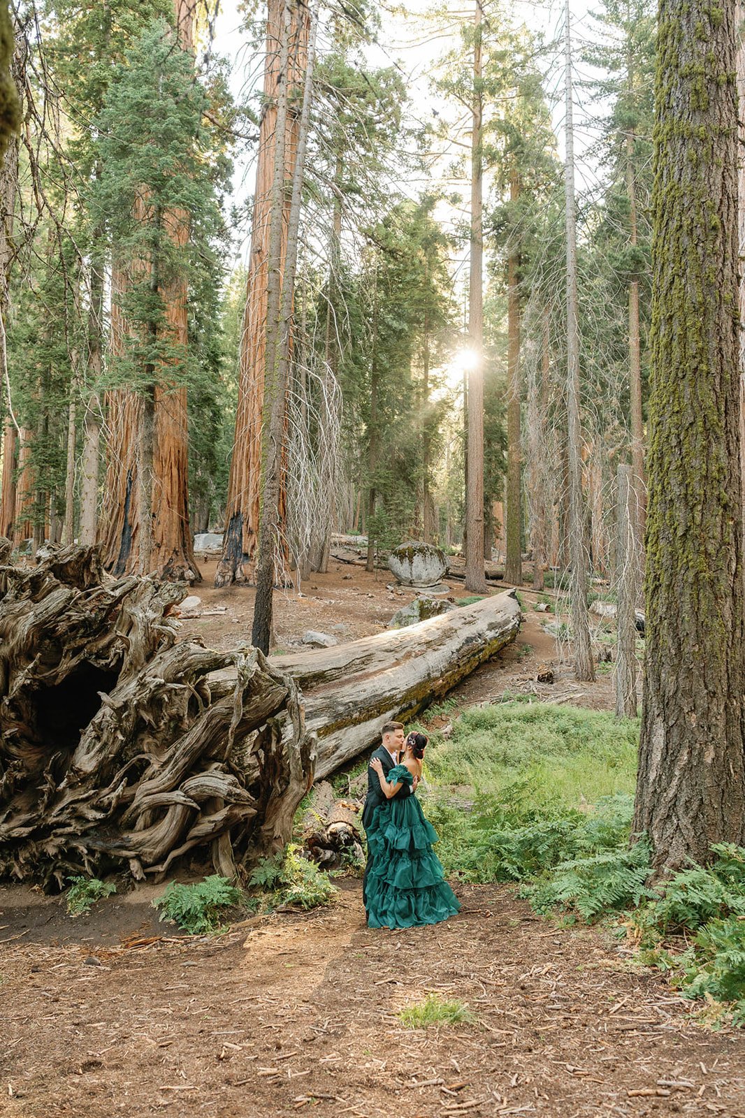 Couple embraces at their 5-year vow renewal in Sequoia
