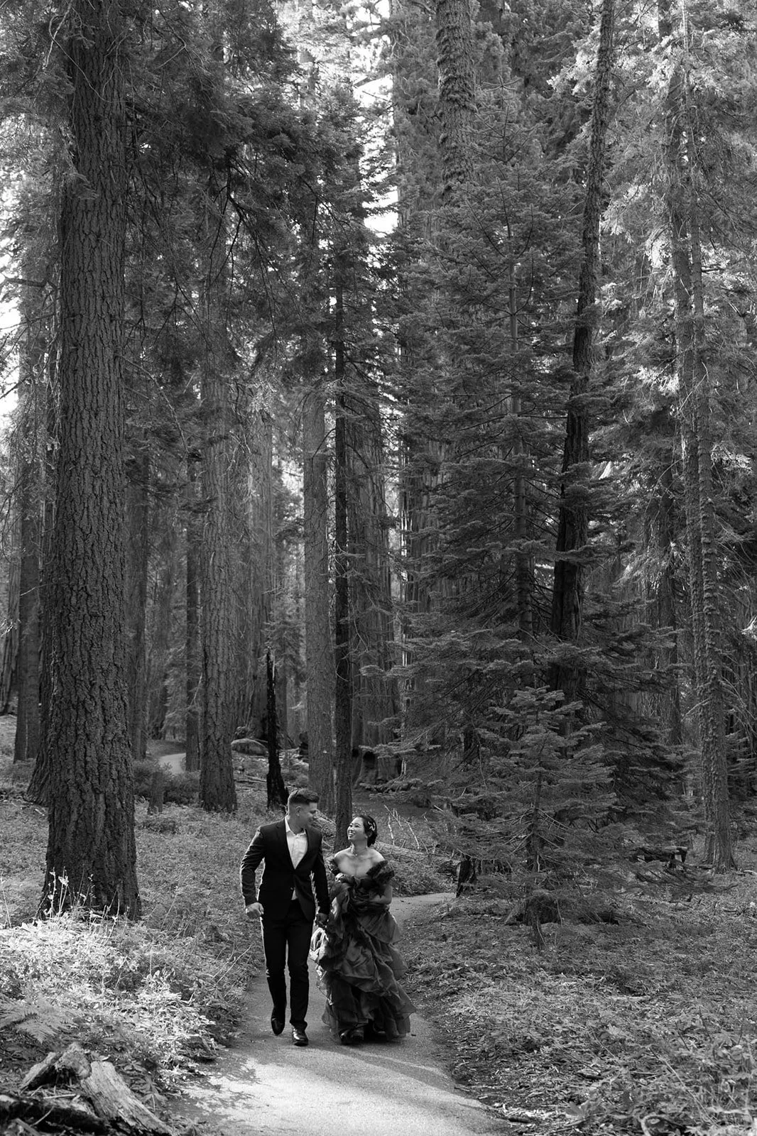 vow-renewal-in-sequoia-12.jpg