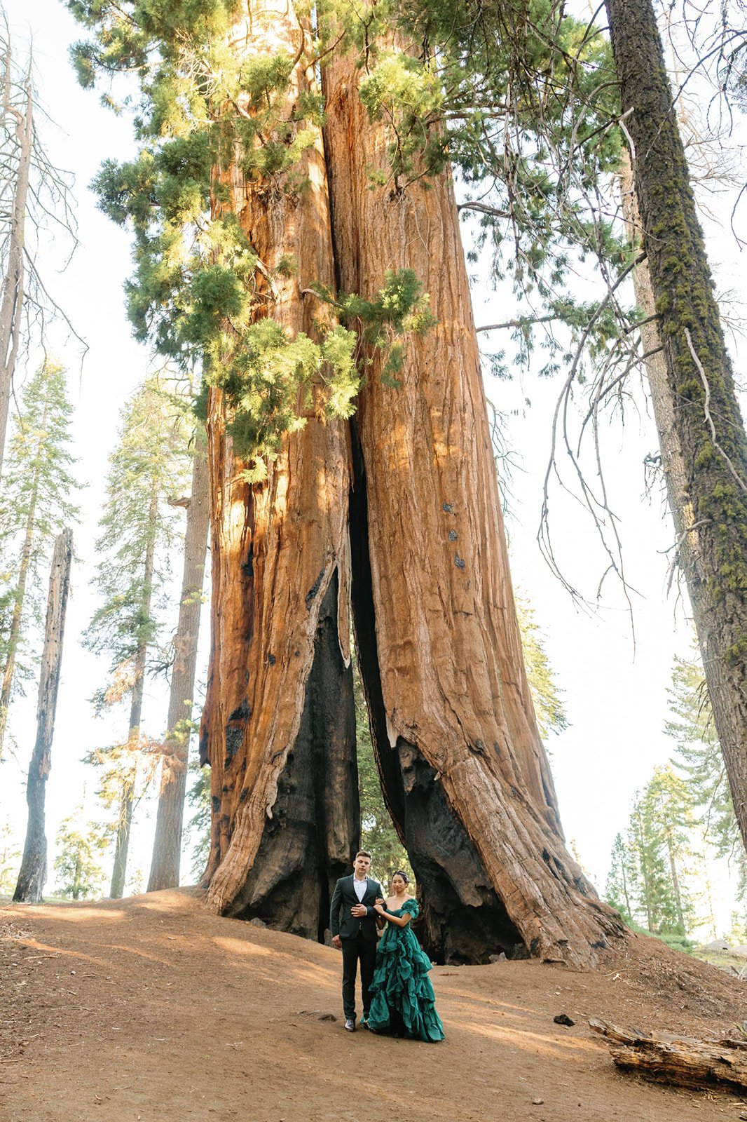 vow-renewal-in-sequoia-8.jpg