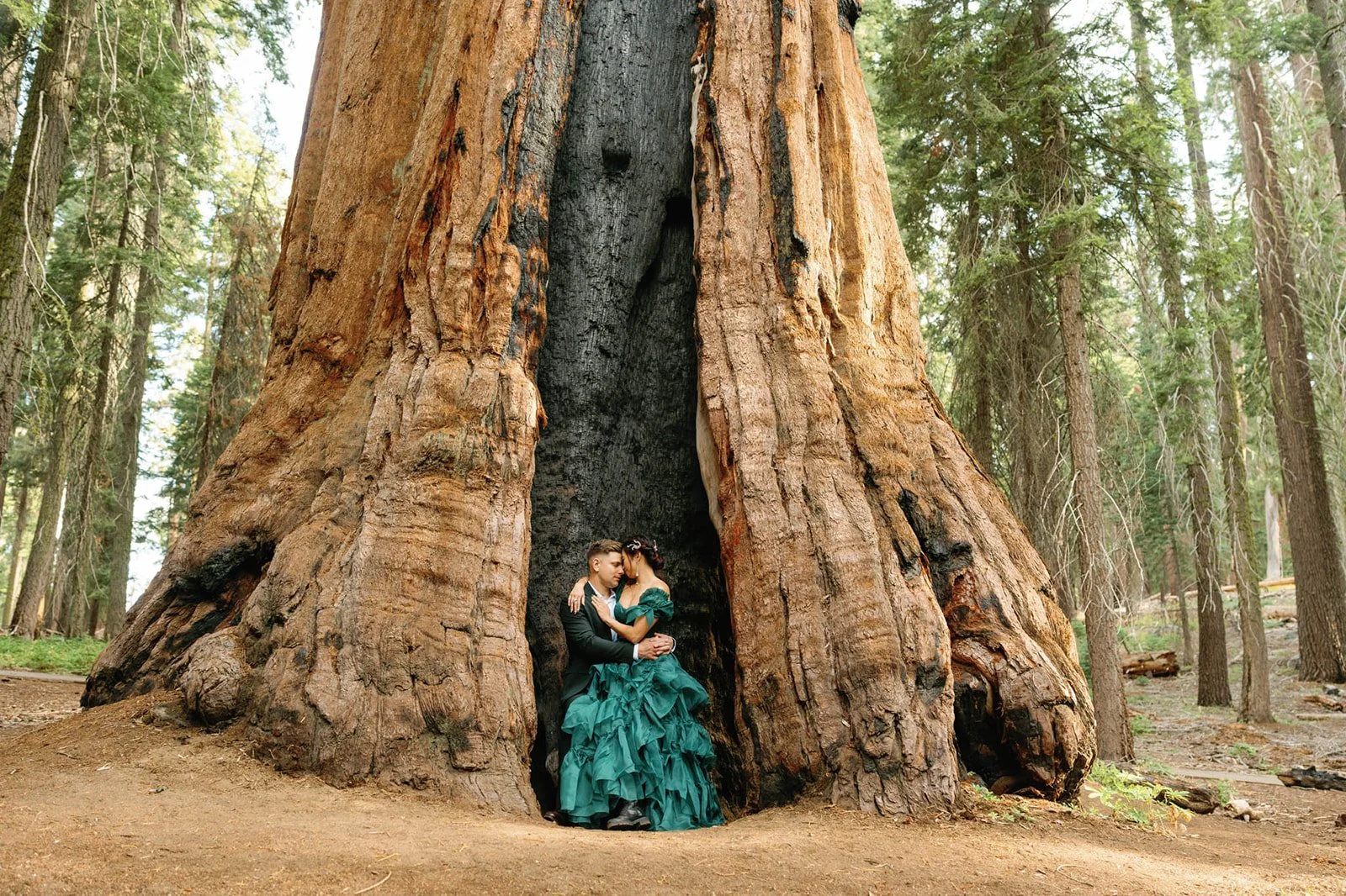 vow-renewal-in-sequoia-15.jpg