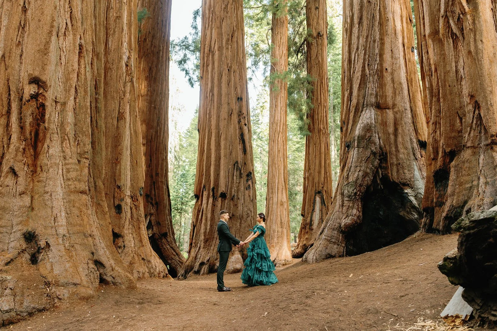 vow-renewal-in-sequoia-16.jpg