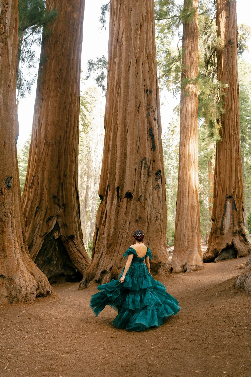 vow-renewal-in-sequoia-24.jpg