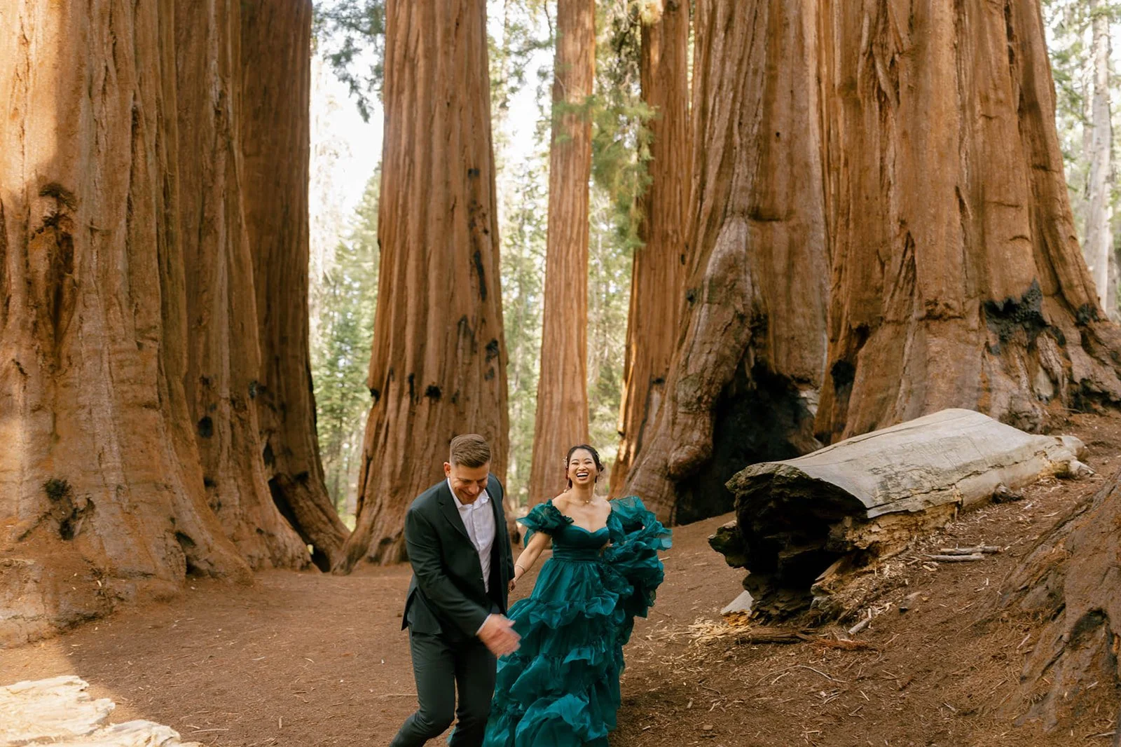 vow-renewal-in-sequoia-26.jpg