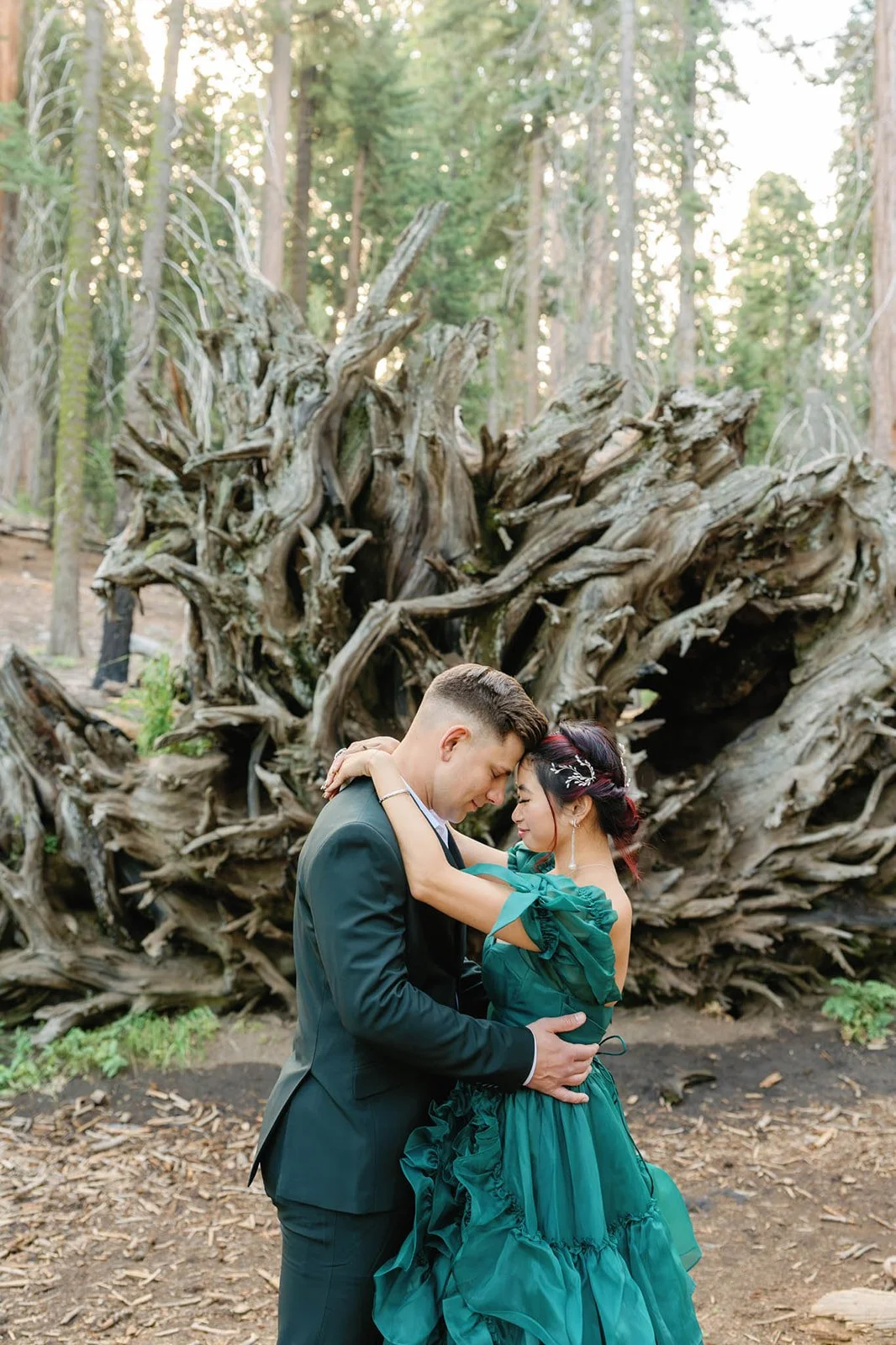 yosemite-vow-renewal-2.jpg