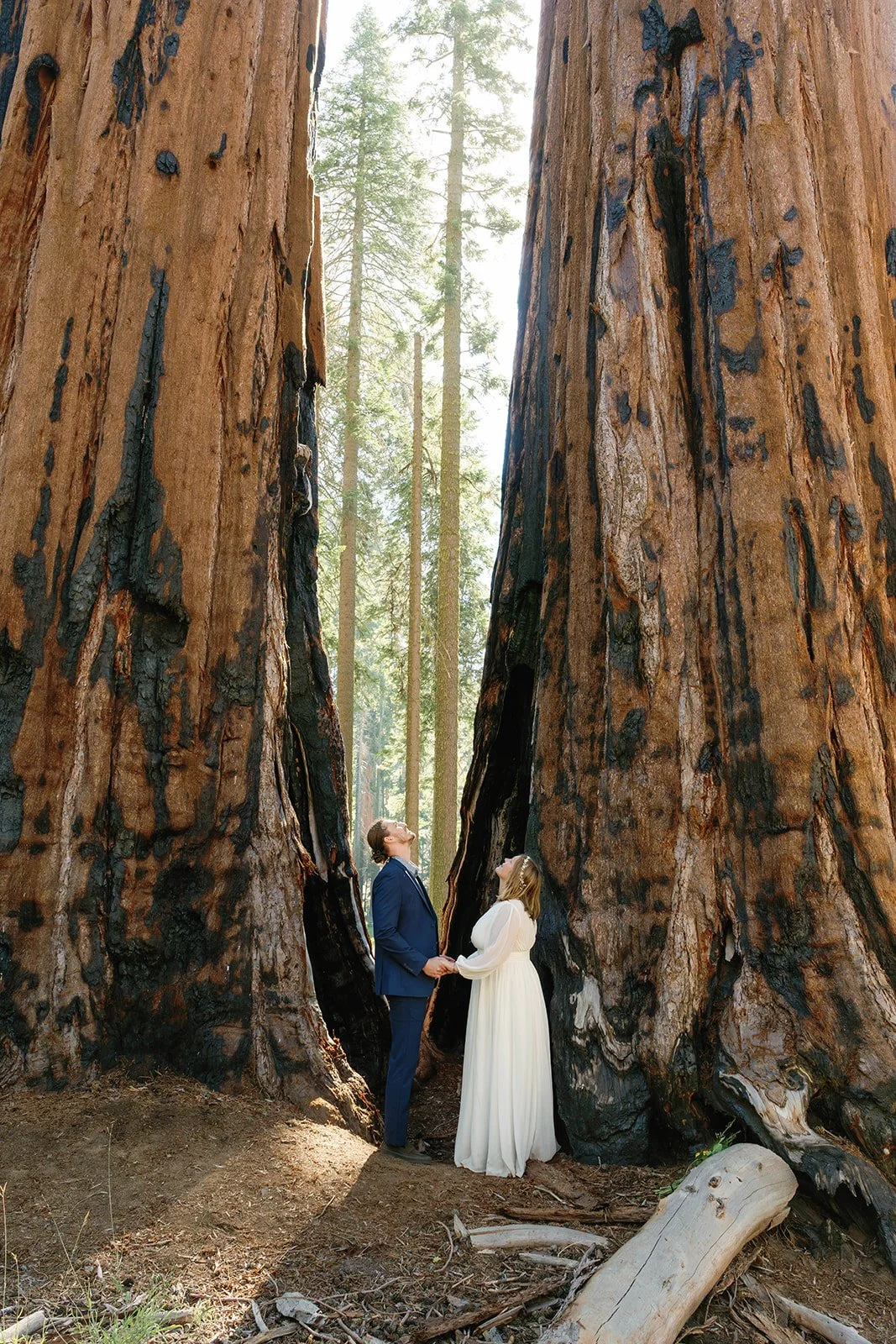 summer-sequoia-elopement-8.jpg
