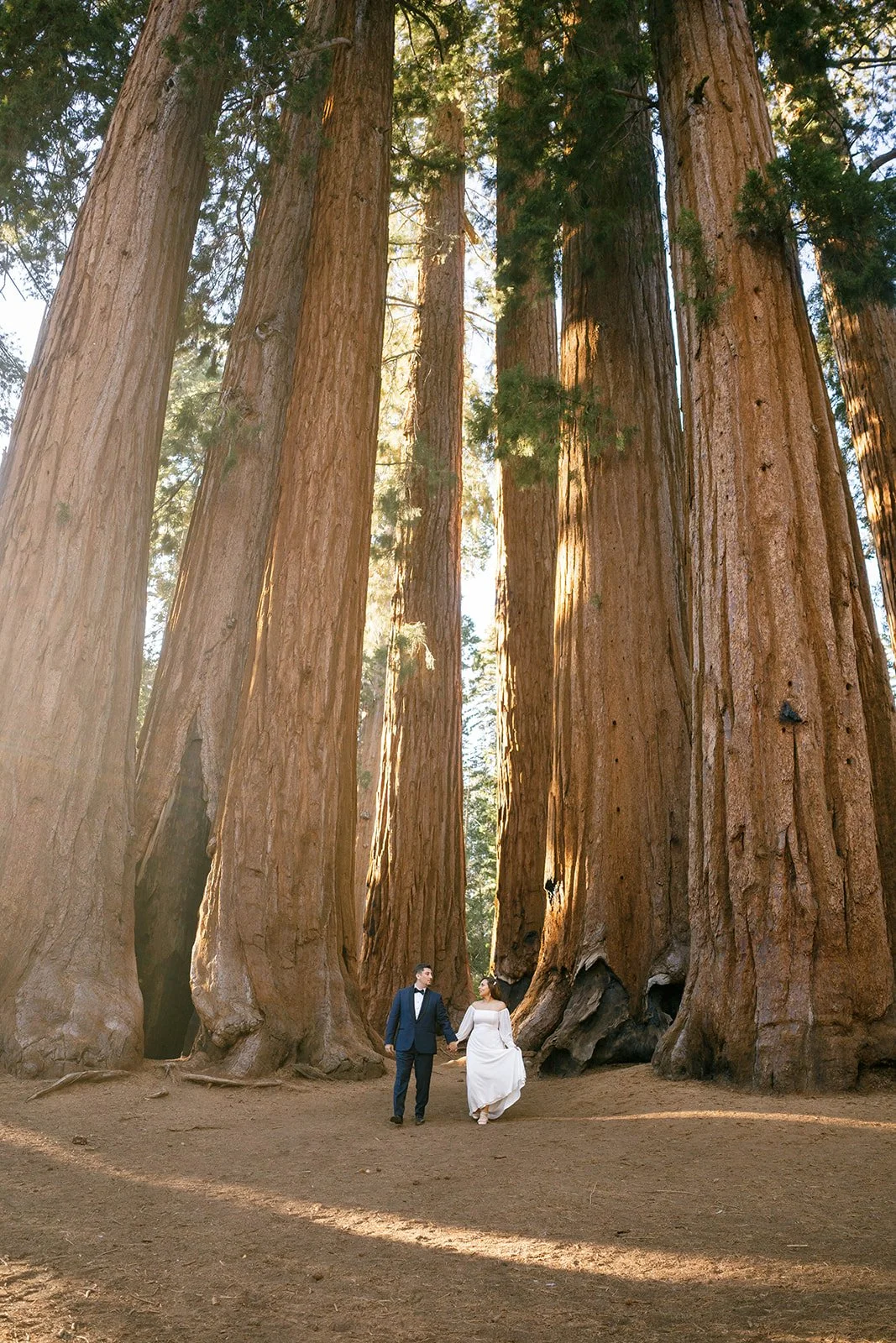 fall-sequoia-elopement-2.jpg