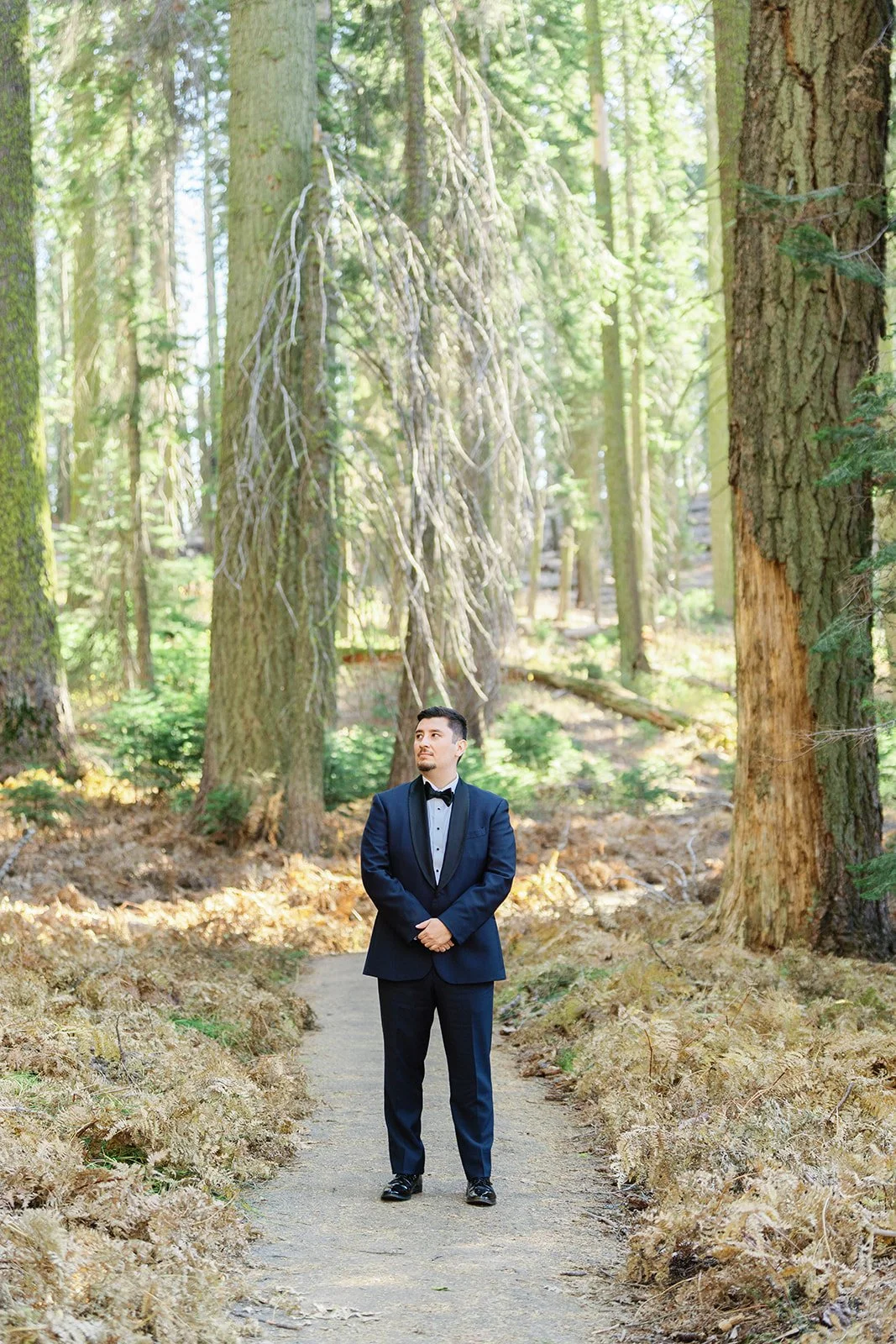 fall-sequoia-elopement-11.jpg