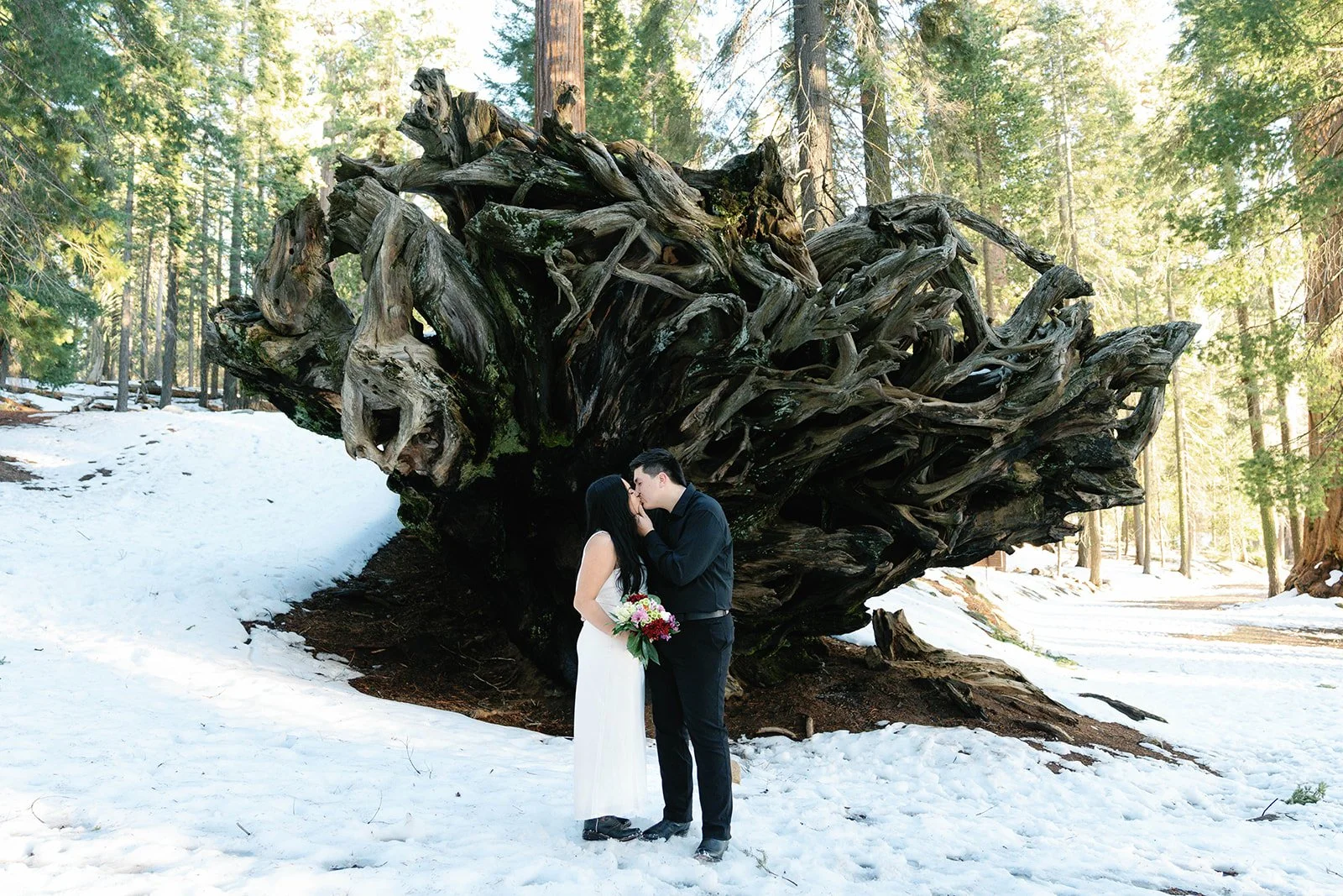 winter-sequoia-elopement-7.jpg
