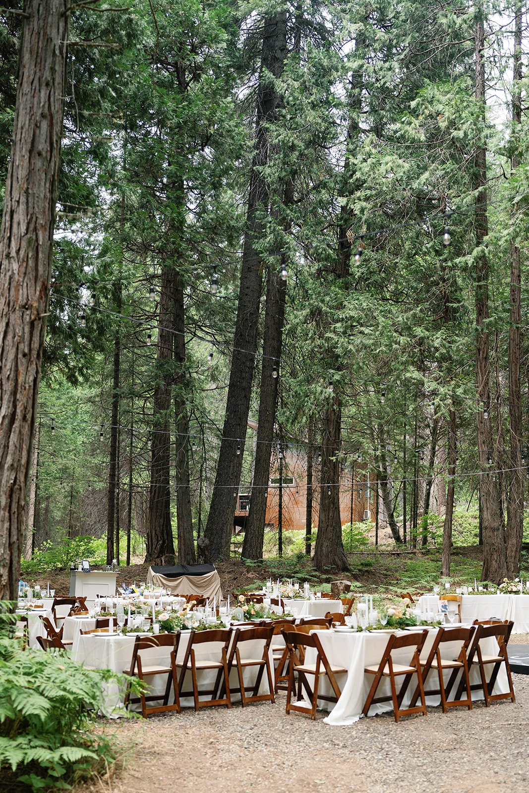 yosemite-national-park-elopement-8.jpg