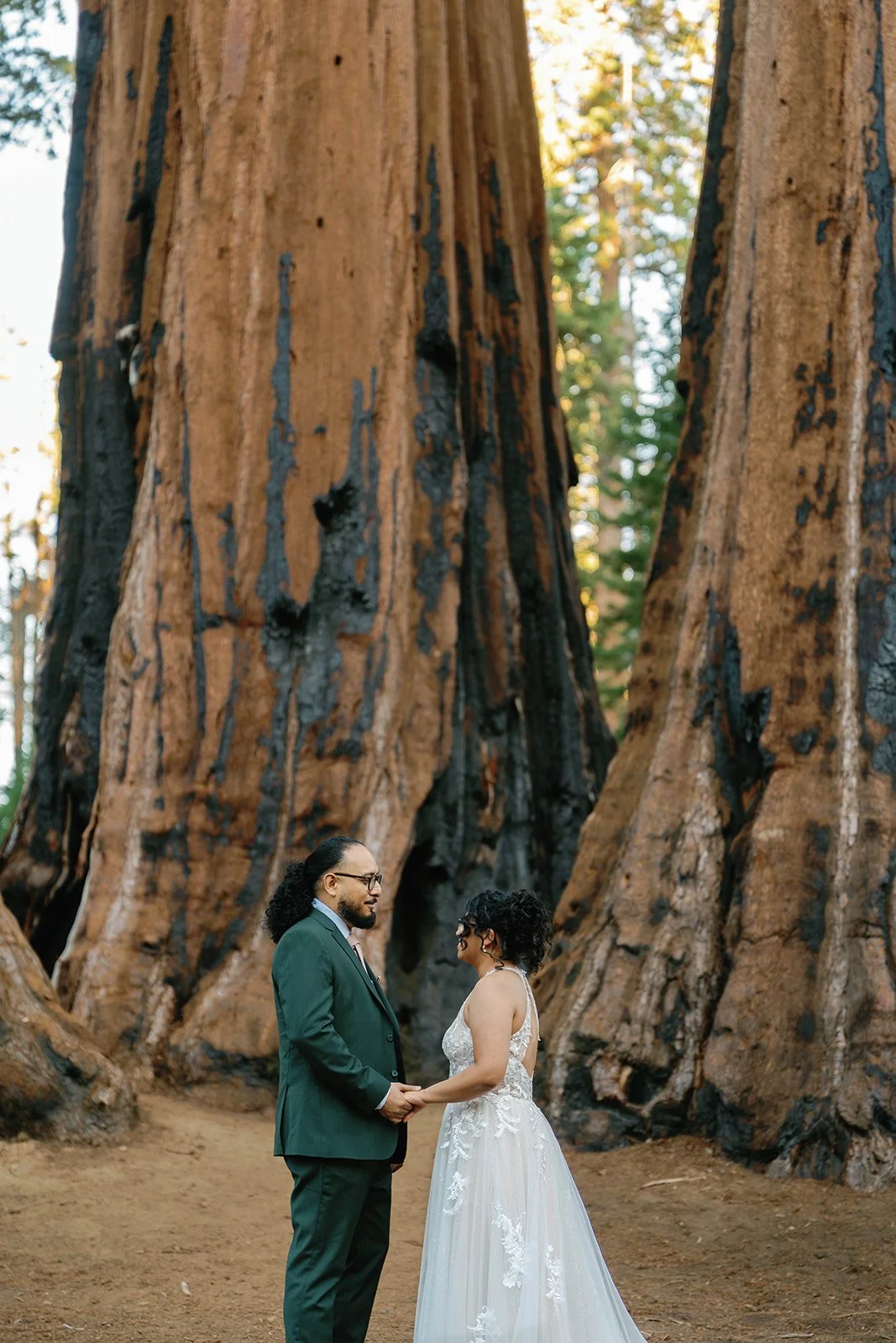 Couple holds hands at their intimate Sequoia elopement