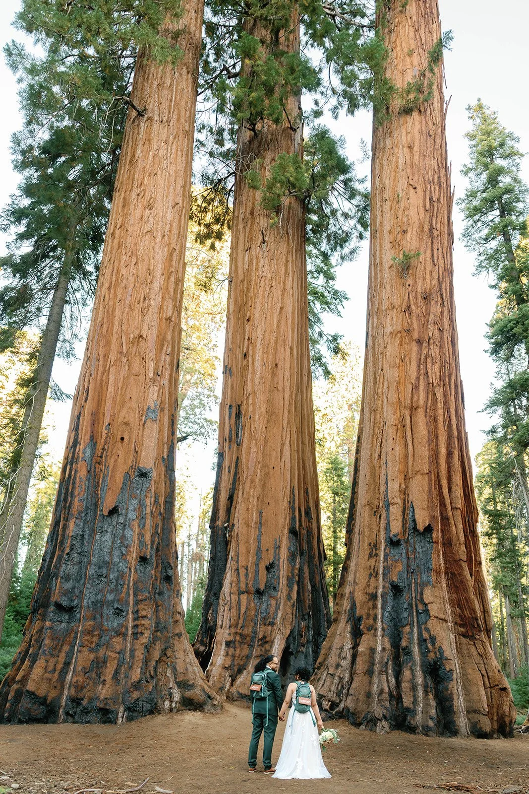 intimate-sequoia-elopement-9.jpg