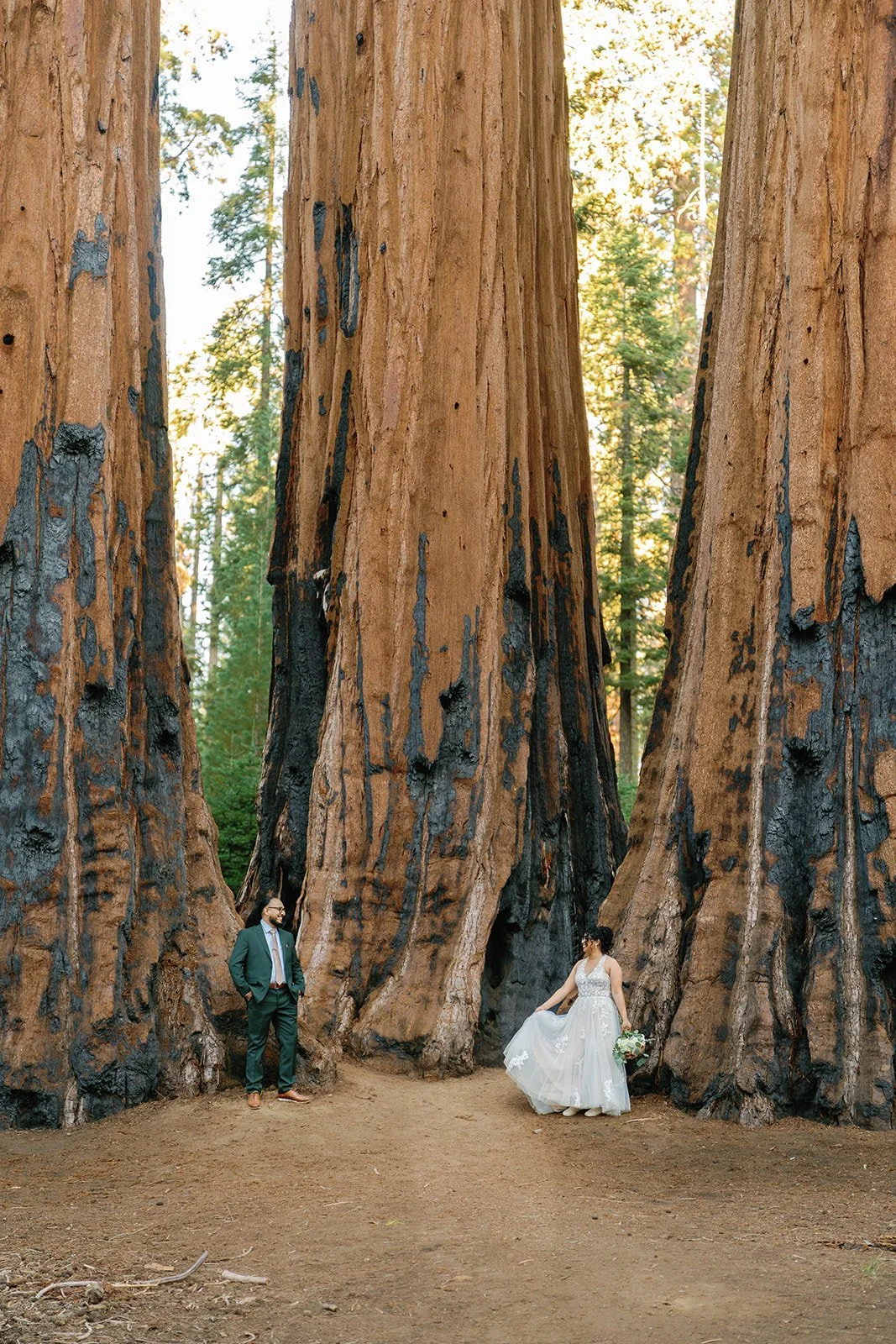 intimate-sequoia-elopement-12.jpg