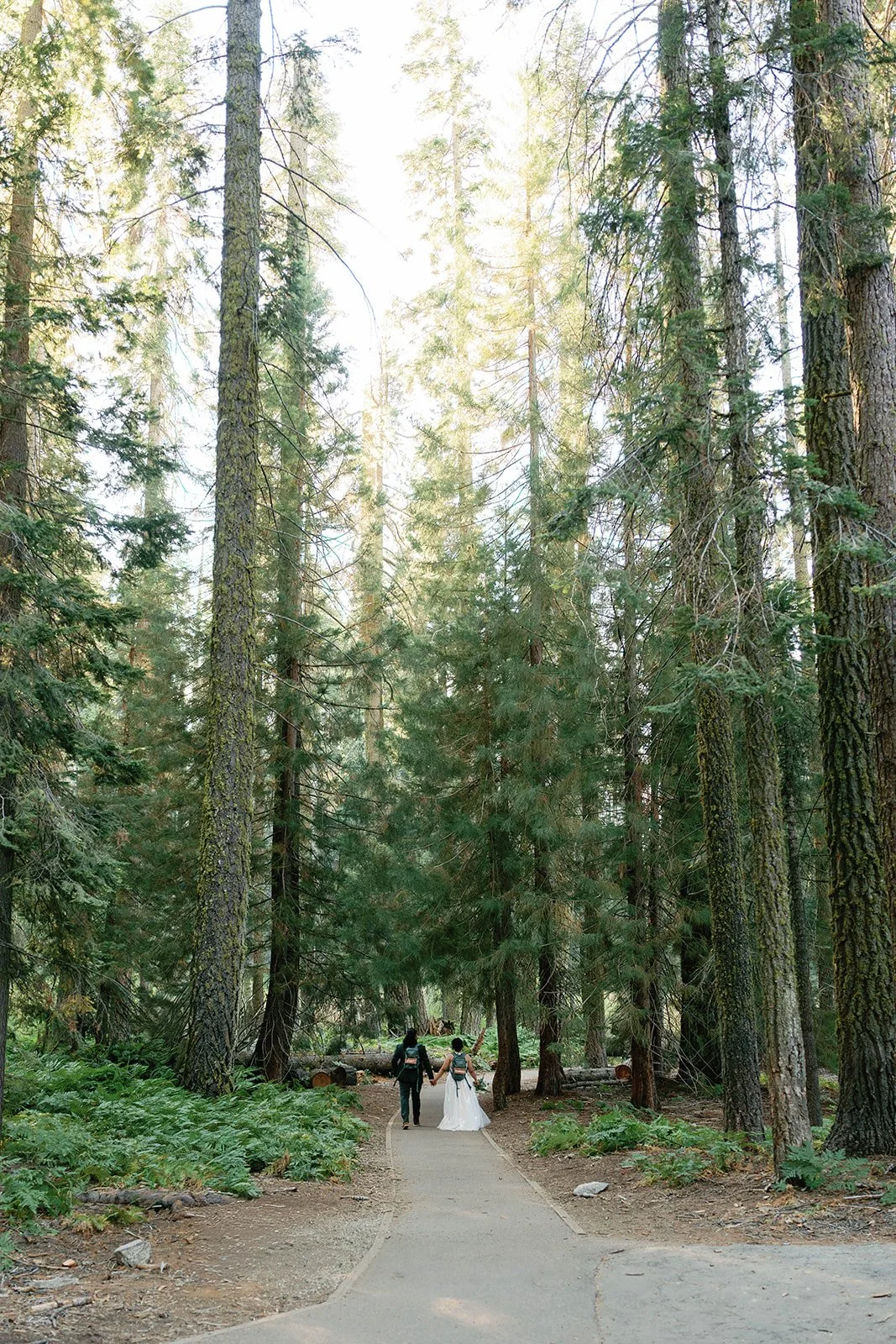 intimate-sequoia-elopement-19.jpg
