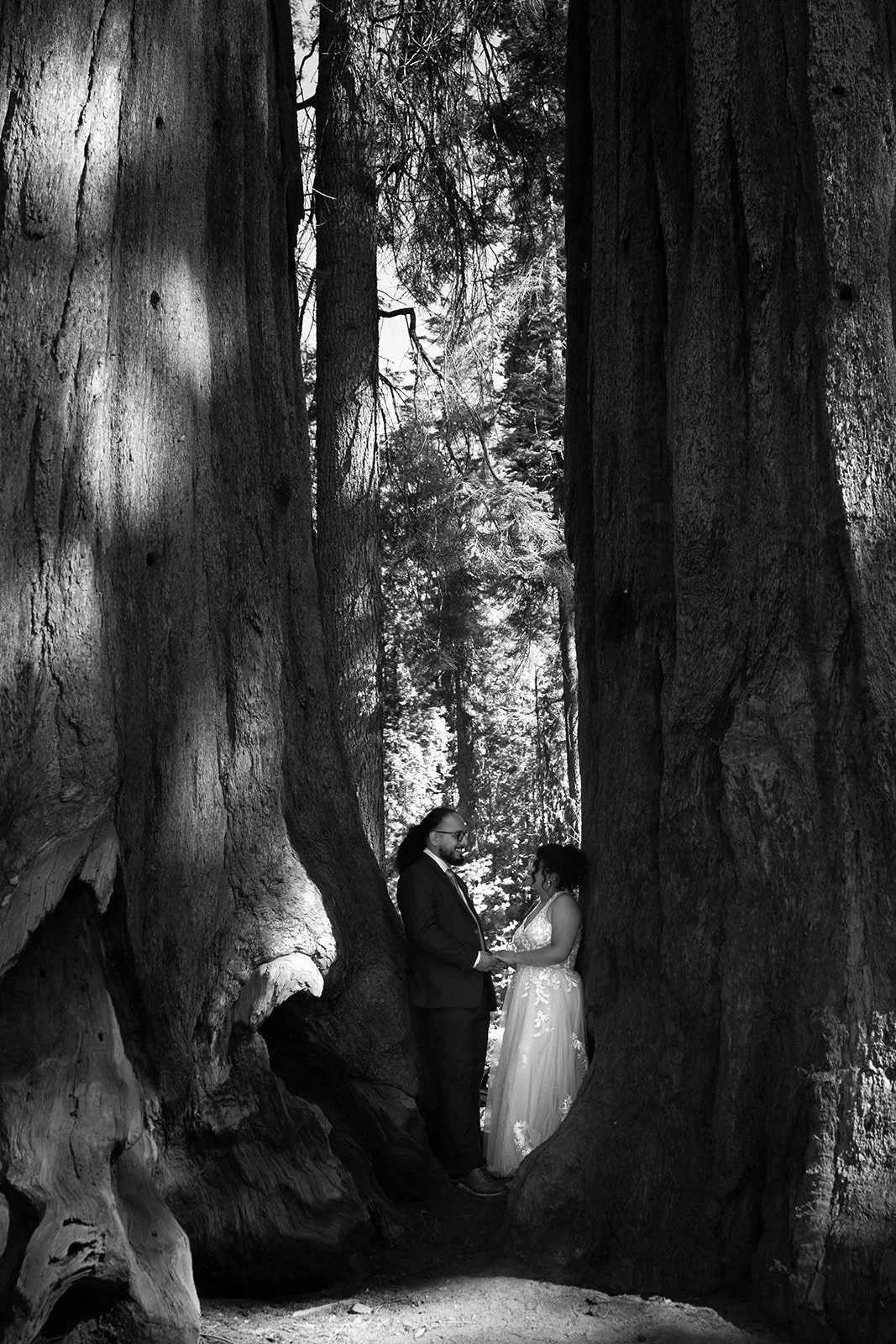 intimate-sequoia-elopement-33.jpg