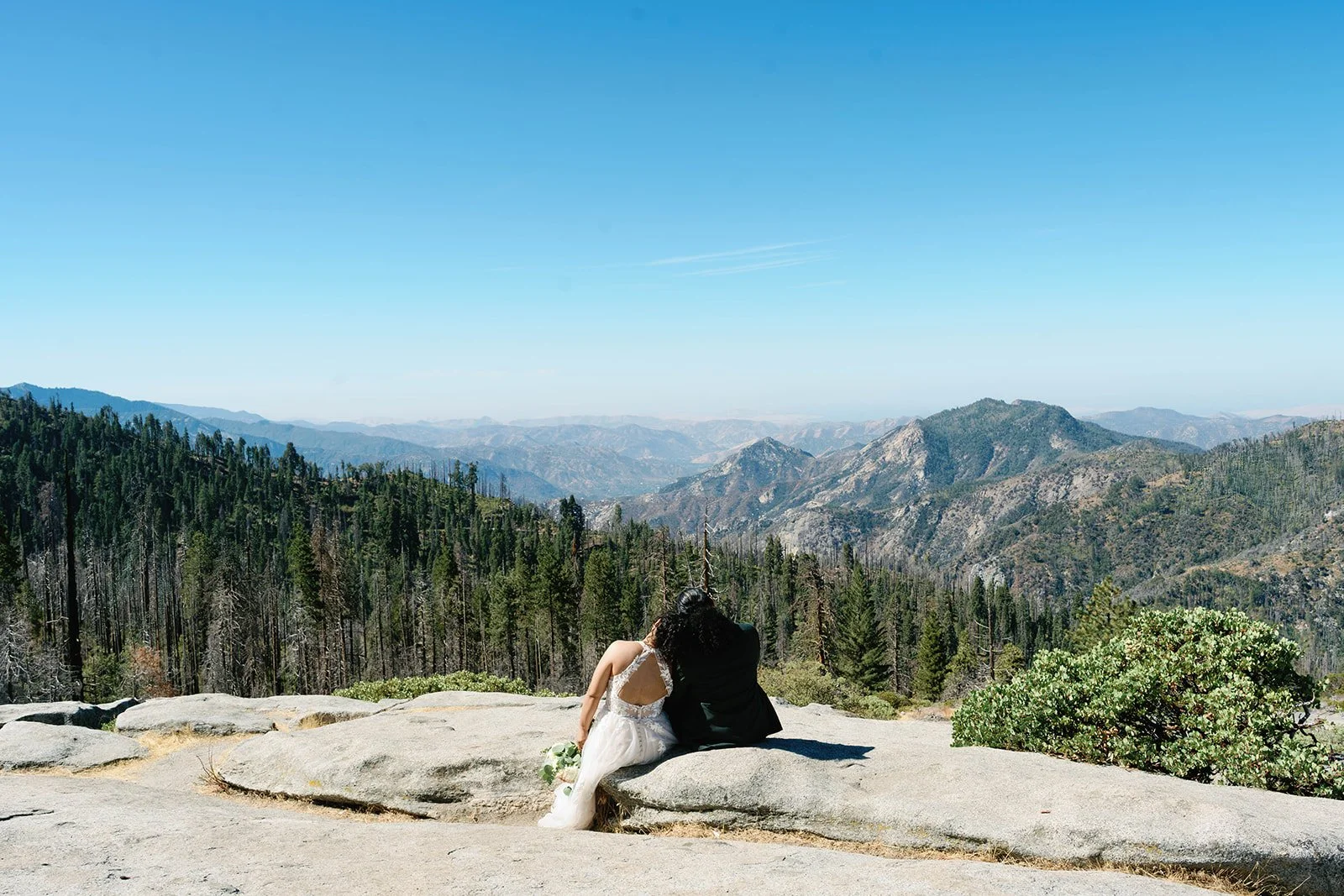intimate-sequoia-elopement-7.jpg