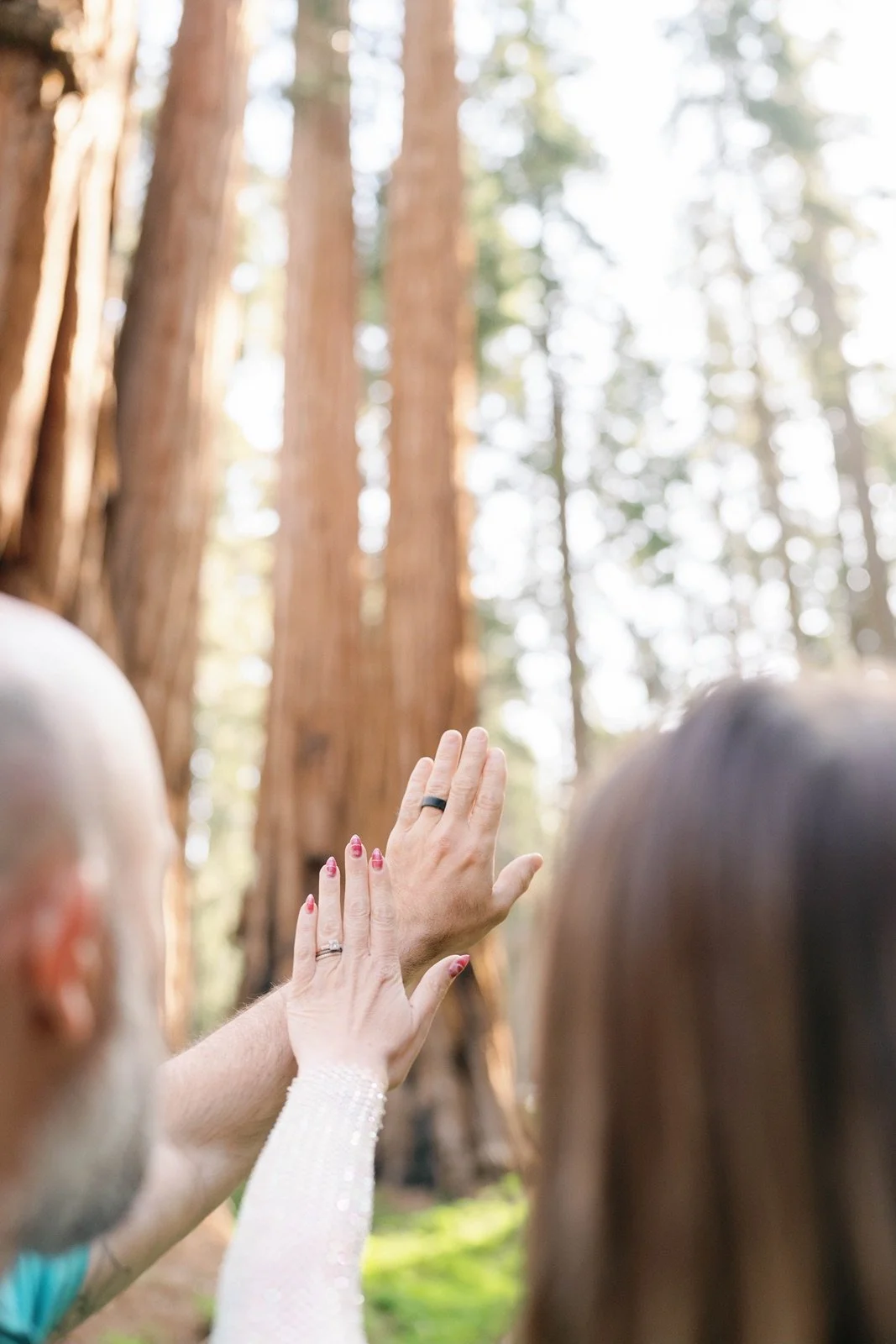 sequoia-national-park-elopement-photographer-53.jpg
