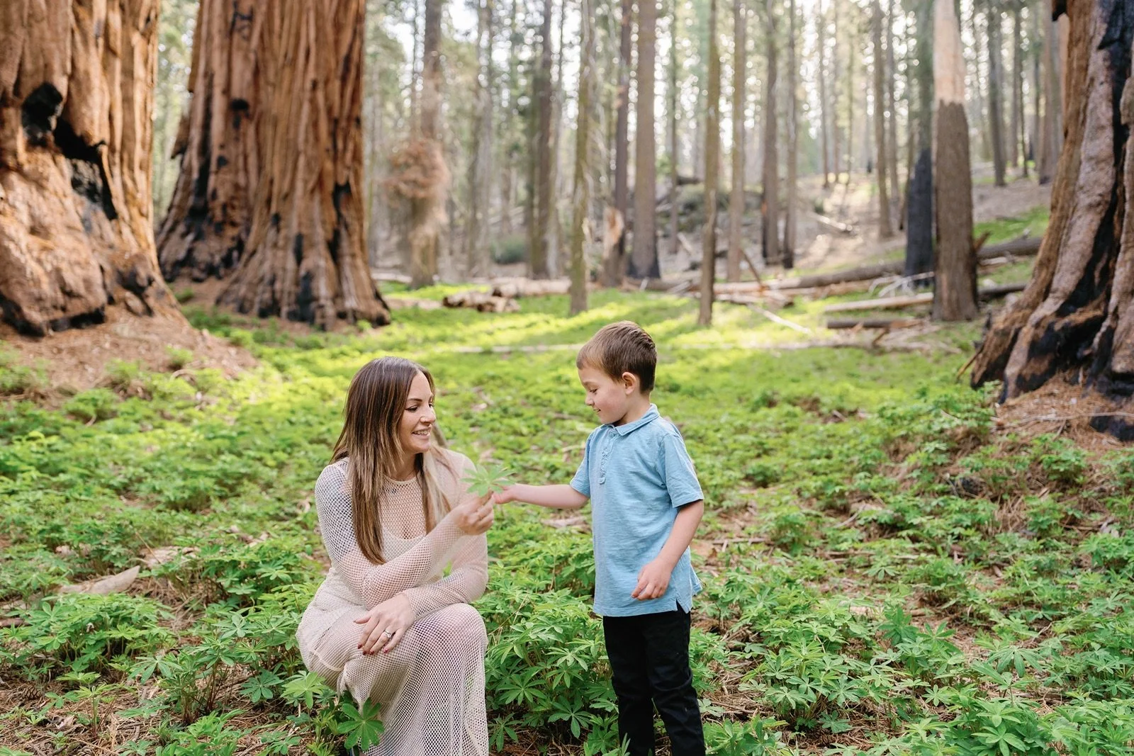 sequoia-national-park-elopement-photographer-97.jpg