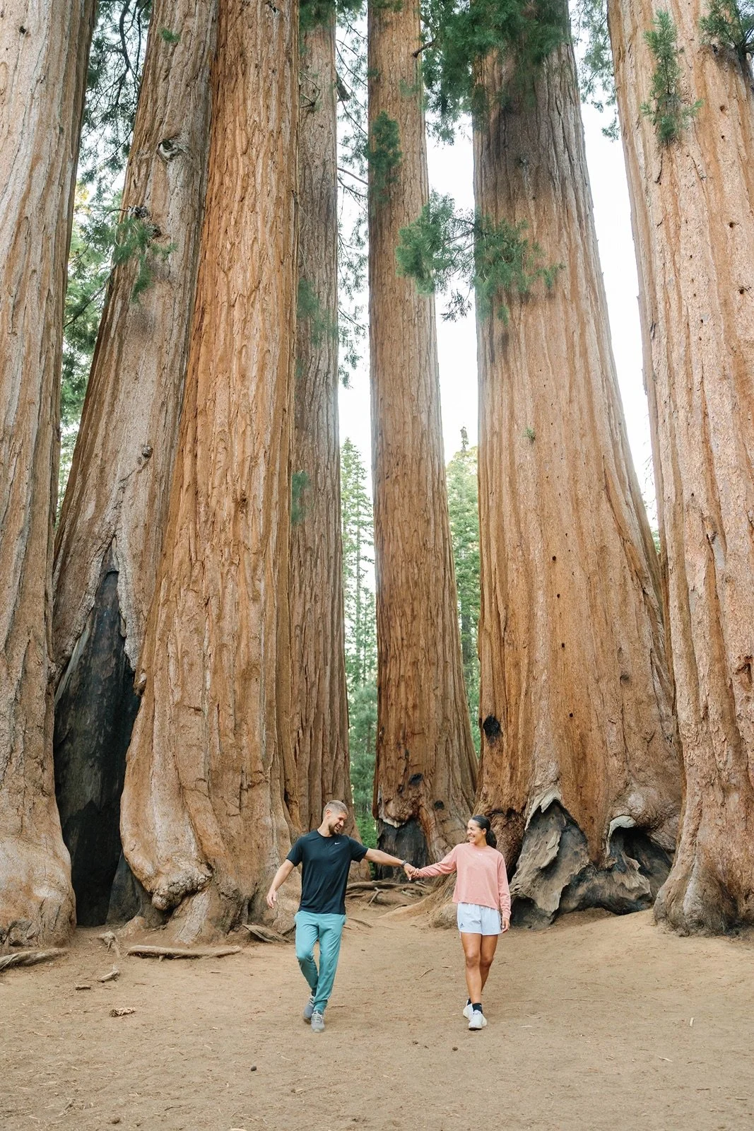 sequoia-national-park-engagment-session-1.jpg
